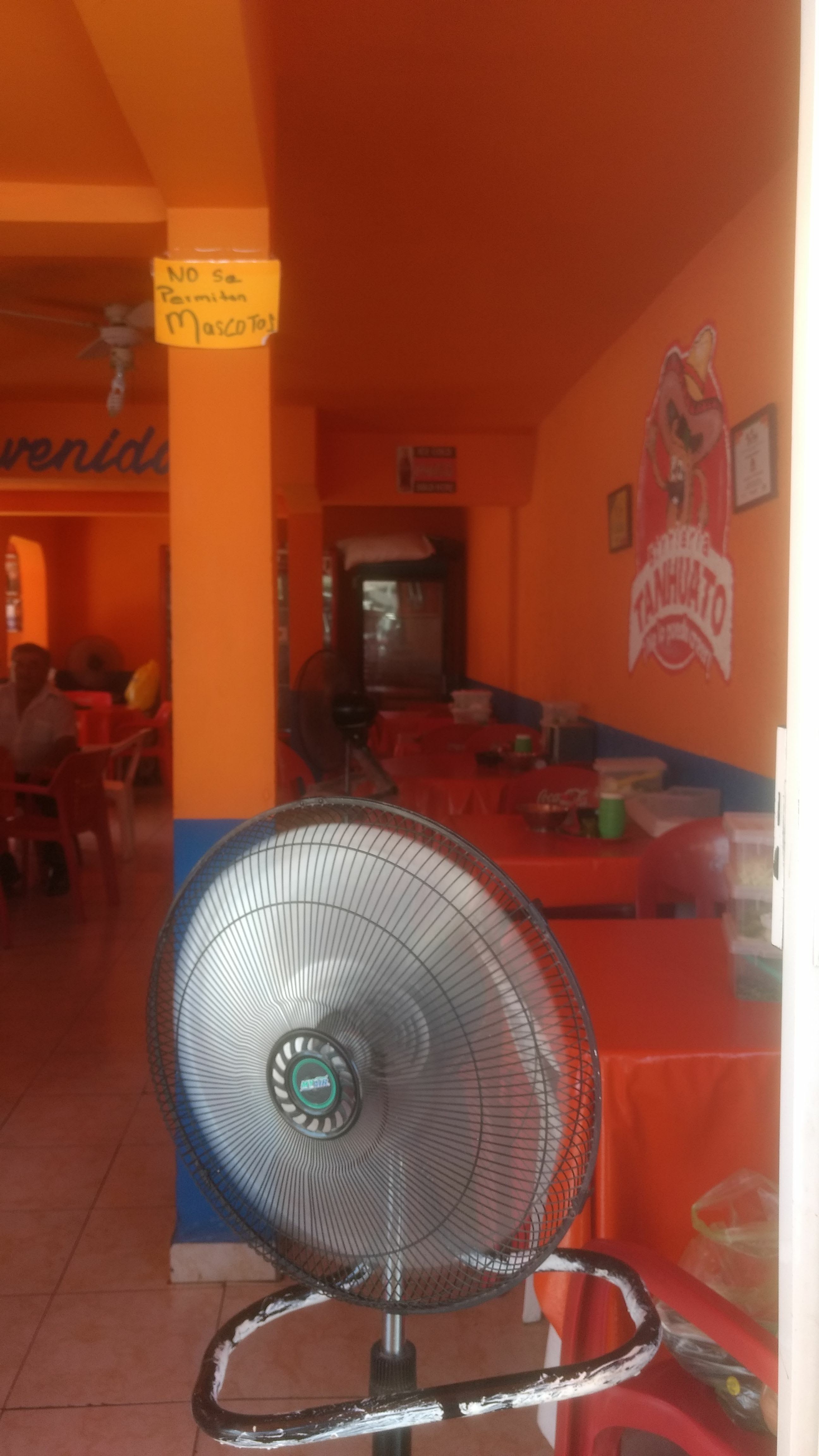 Birrieria el lleguele Yañez image 6