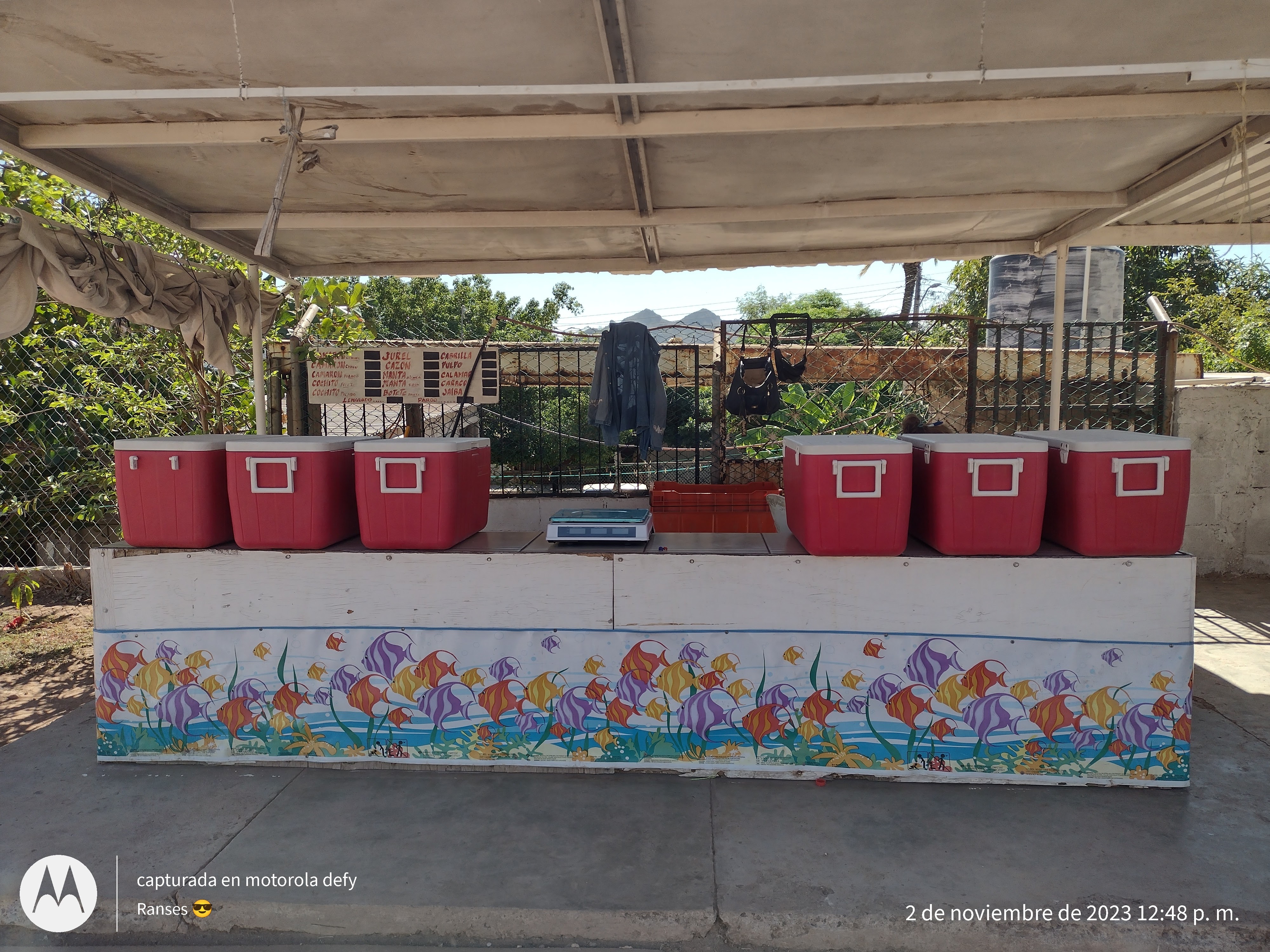 Pescados Y Mariscos La Güera image 1