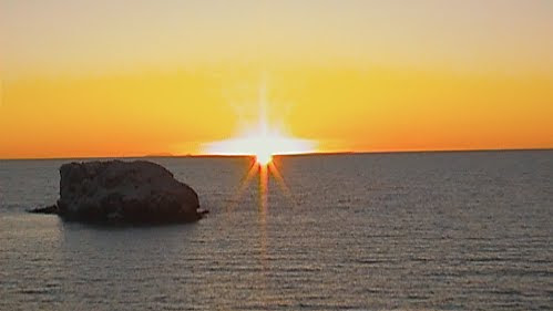 Pescados Y Mariscos La Güera image 3