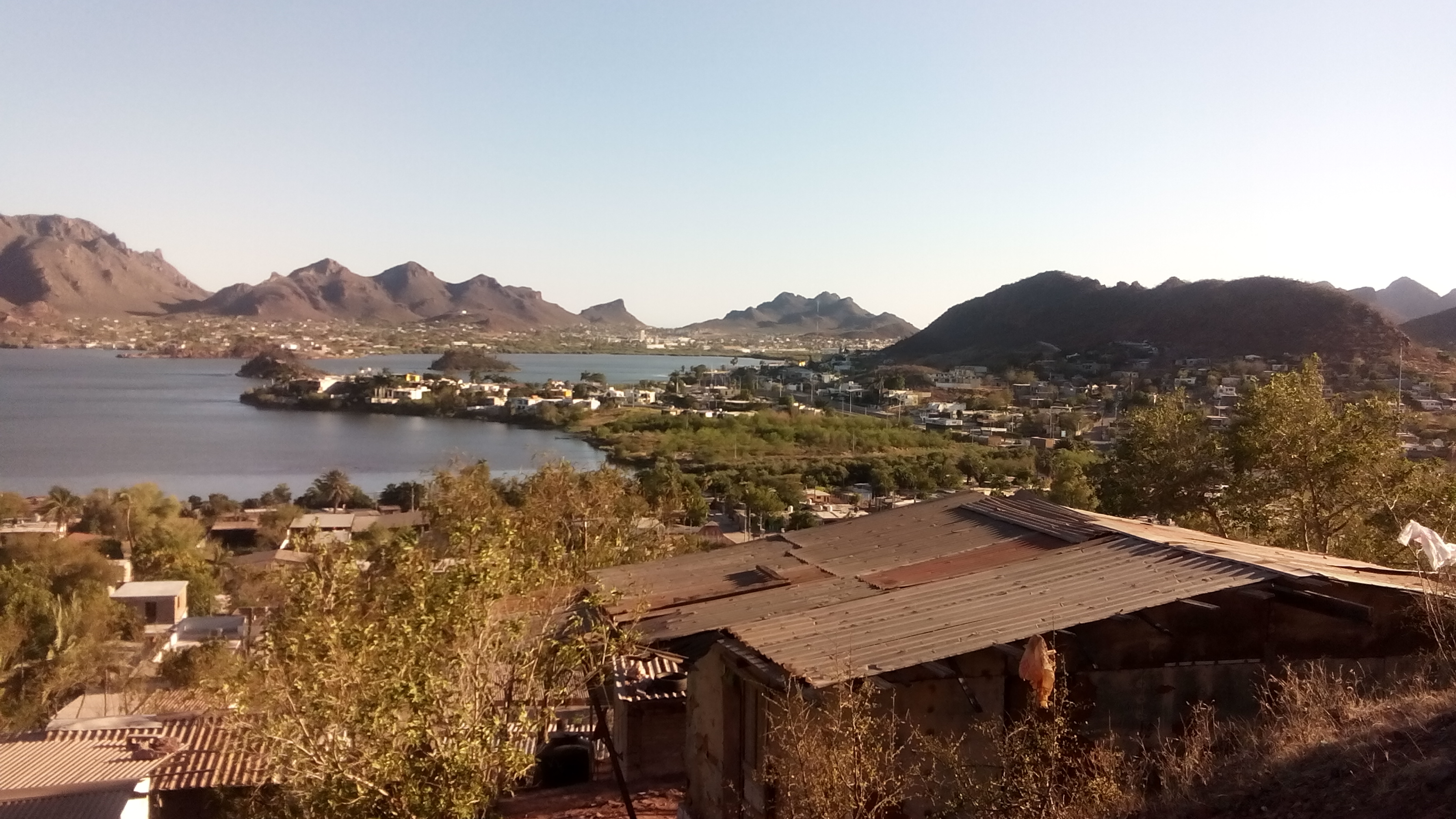 Pescados Y Mariscos La Güera image 4