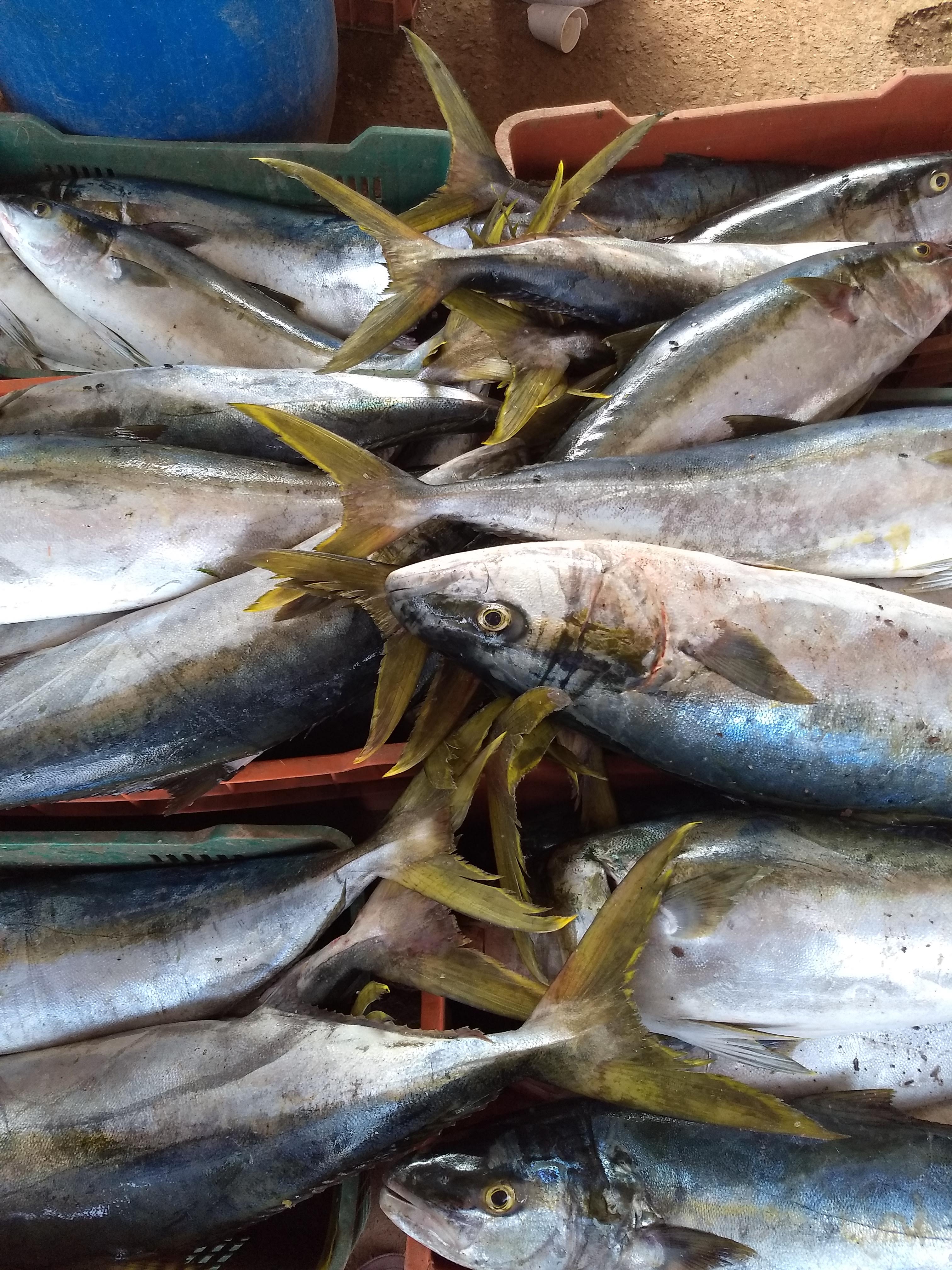 Pescados Y Mariscos La Güera image 5