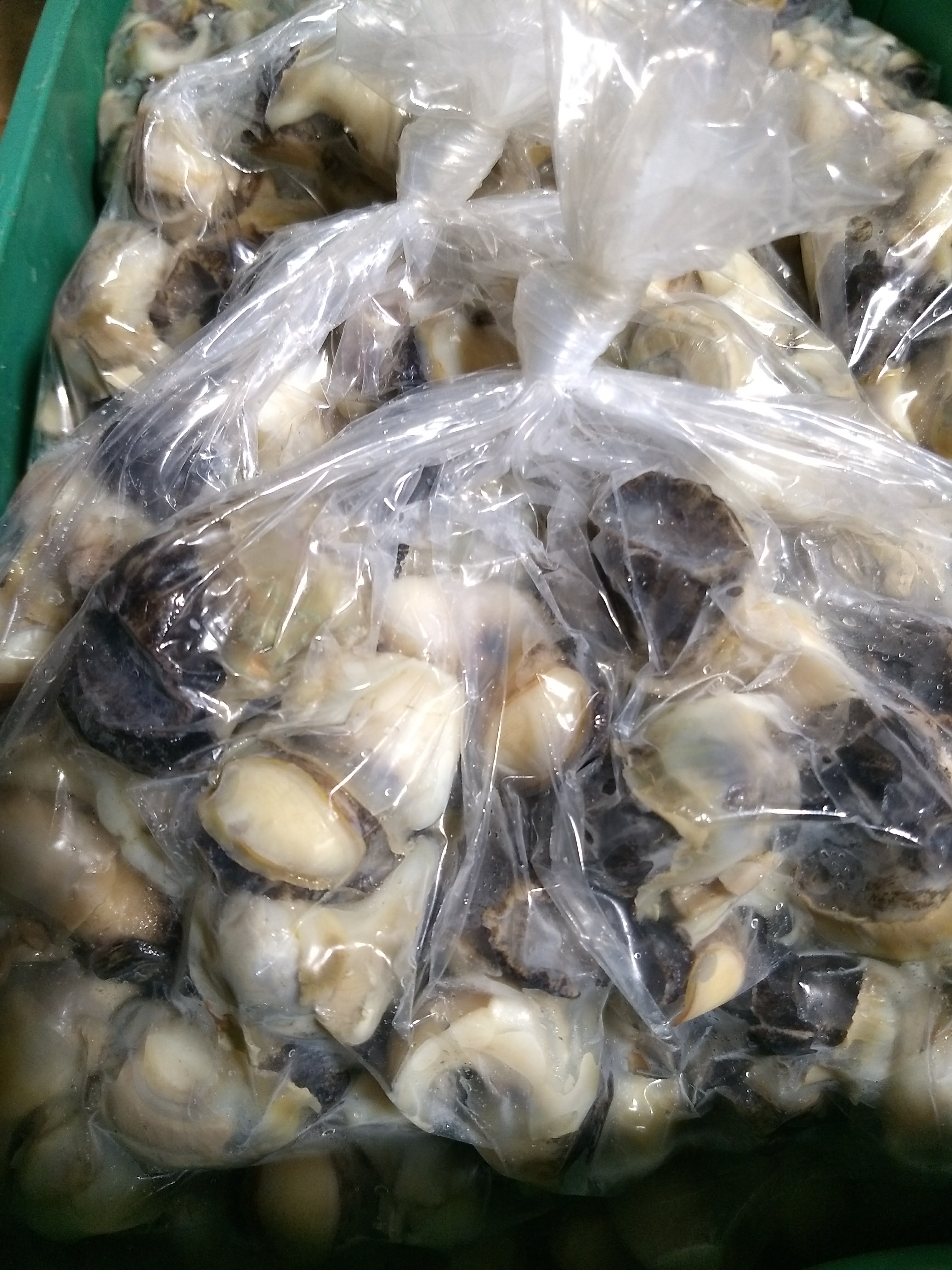 Pescados Y Mariscos La Güera image 6