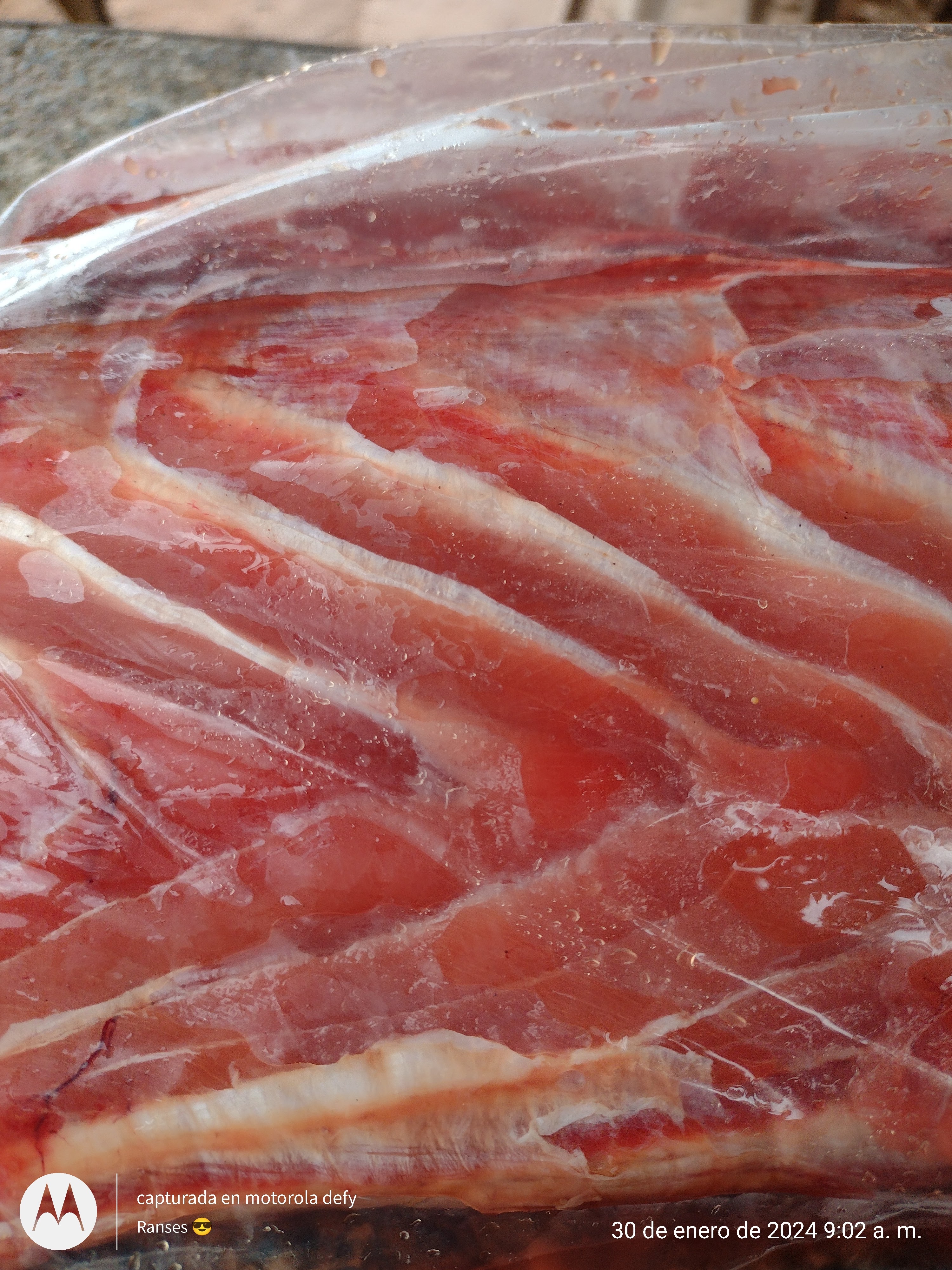 Pescados Y Mariscos La Güera image 9