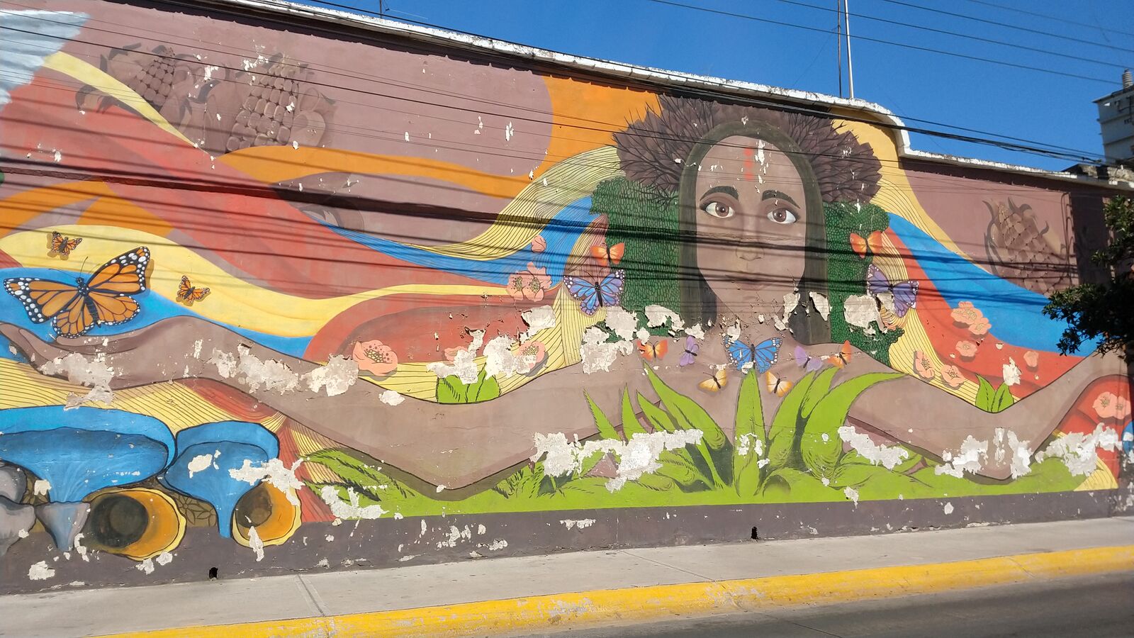 PM Concepto image 8