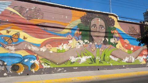 PM Concepto image 8