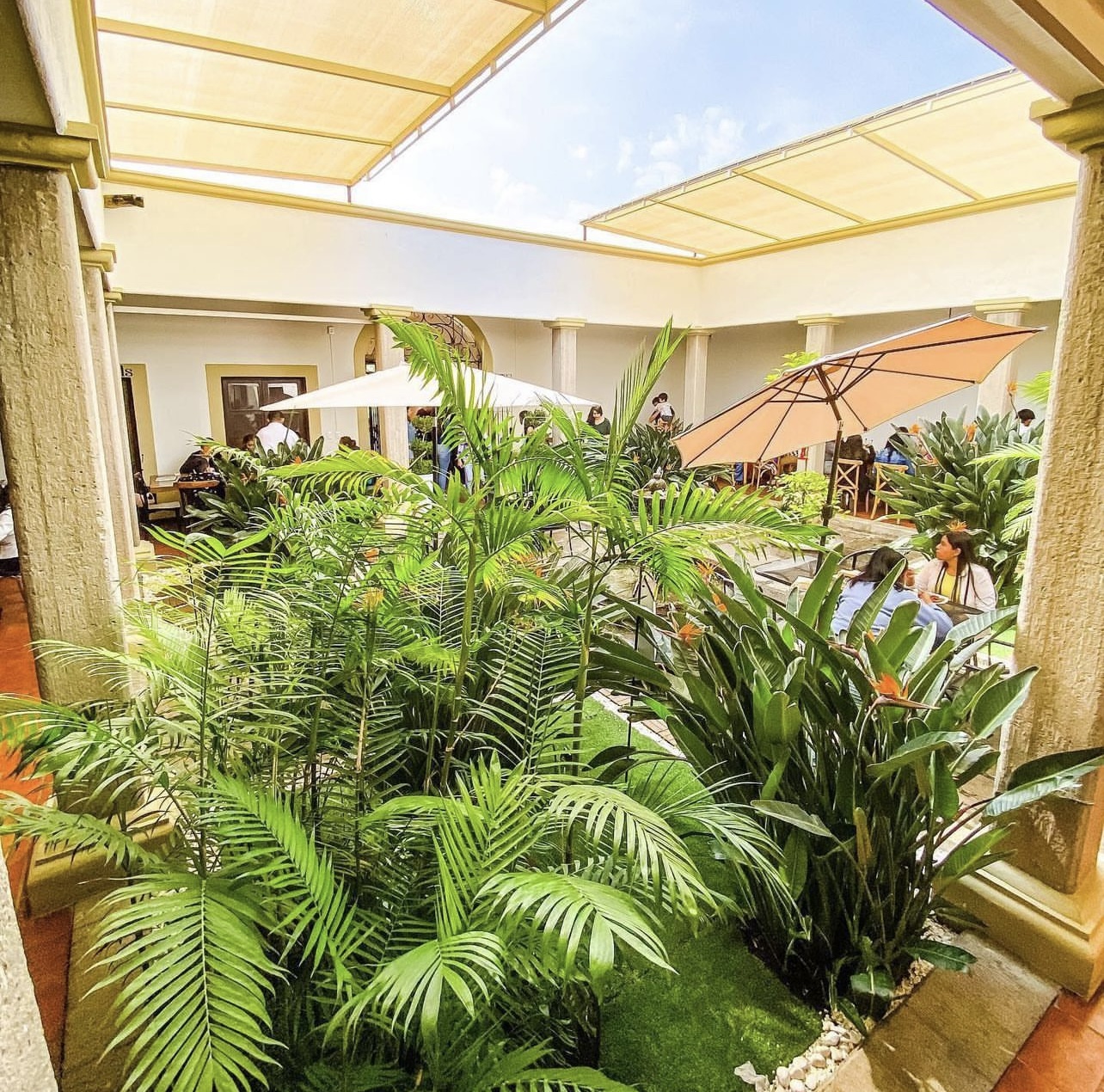 COCCO SPA•RESTO•CAFÉ image 10