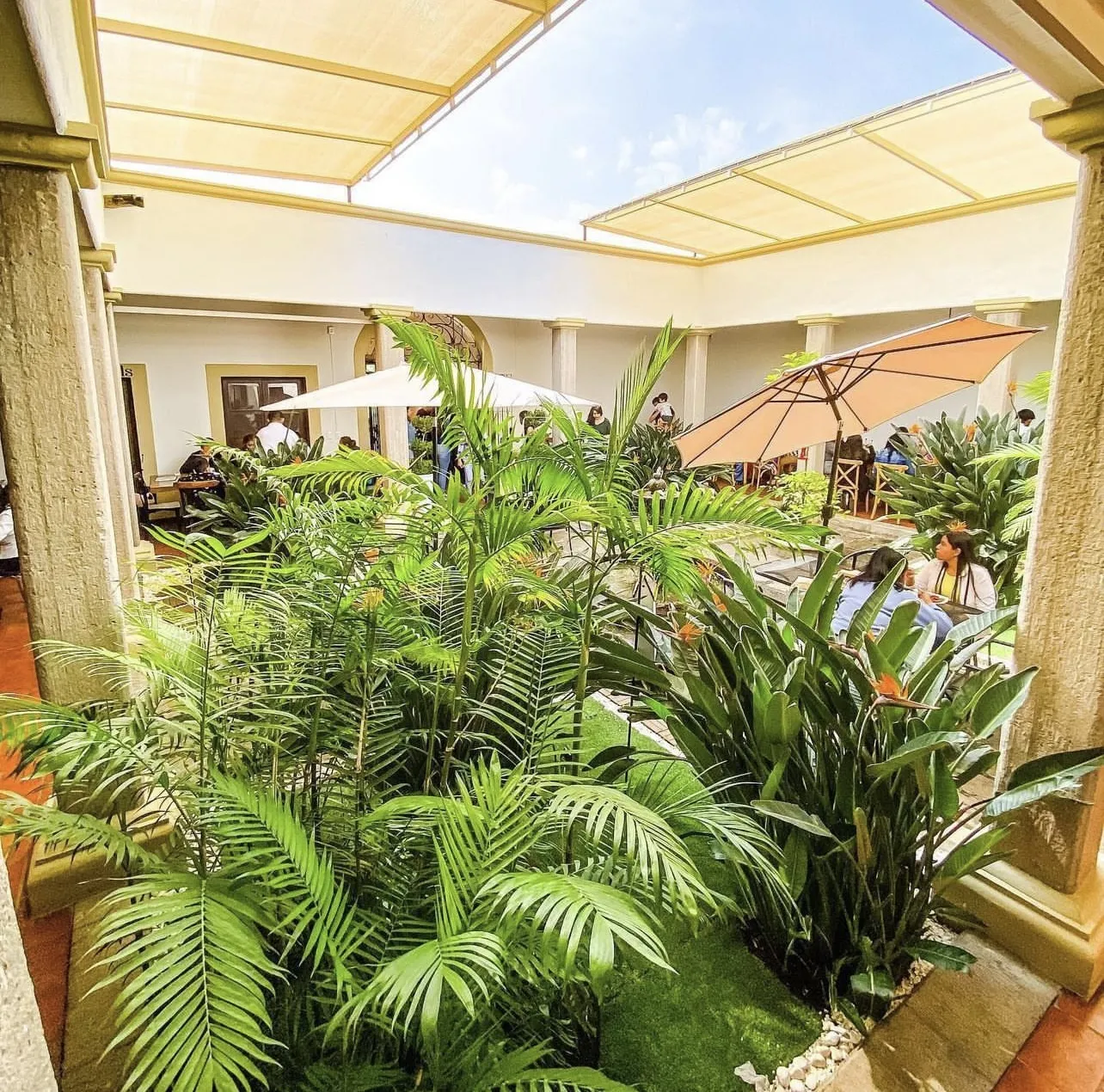 COCCO SPA•RESTO•CAFÉ image 10