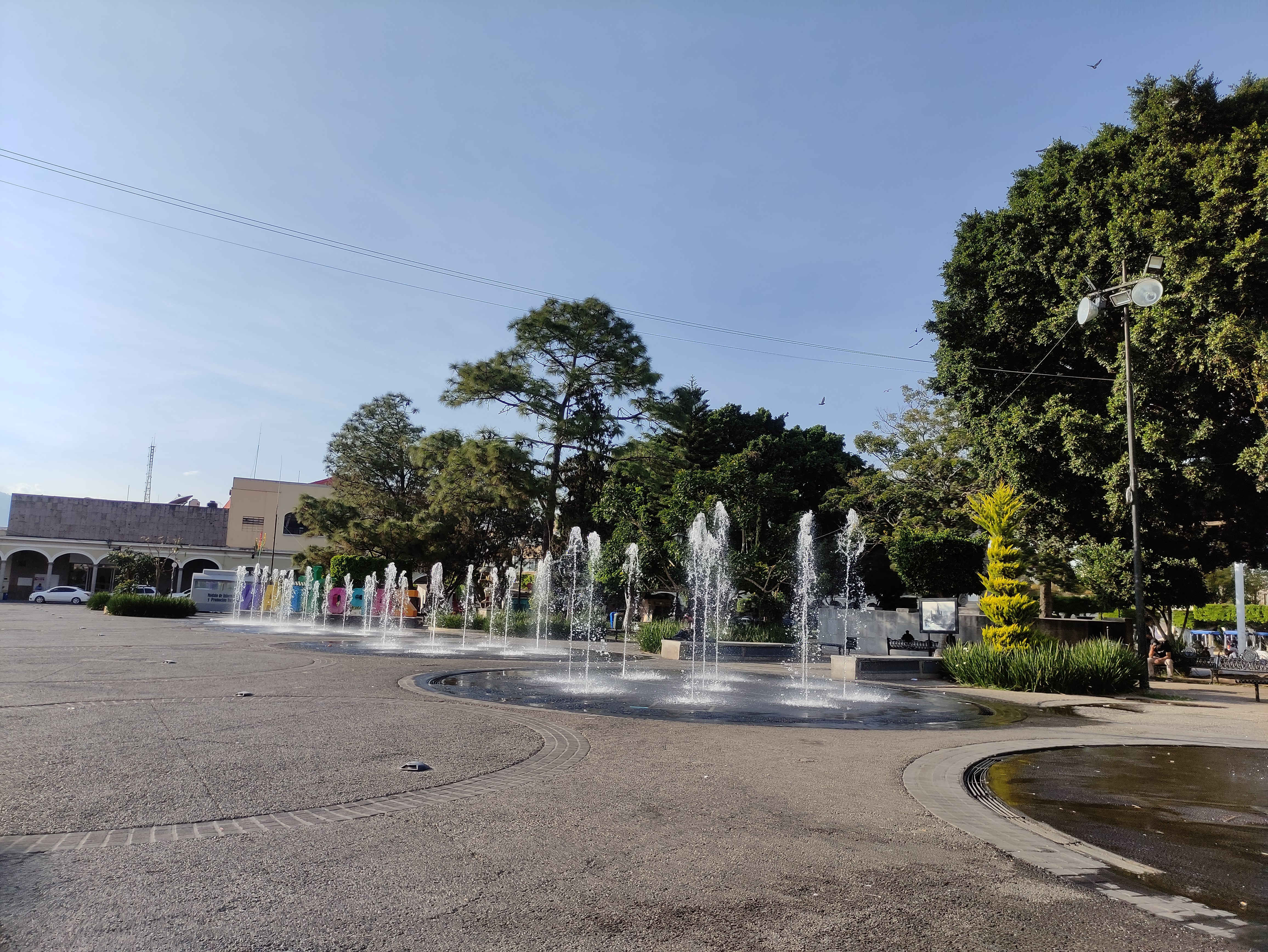 Tostadas Pepe image 9