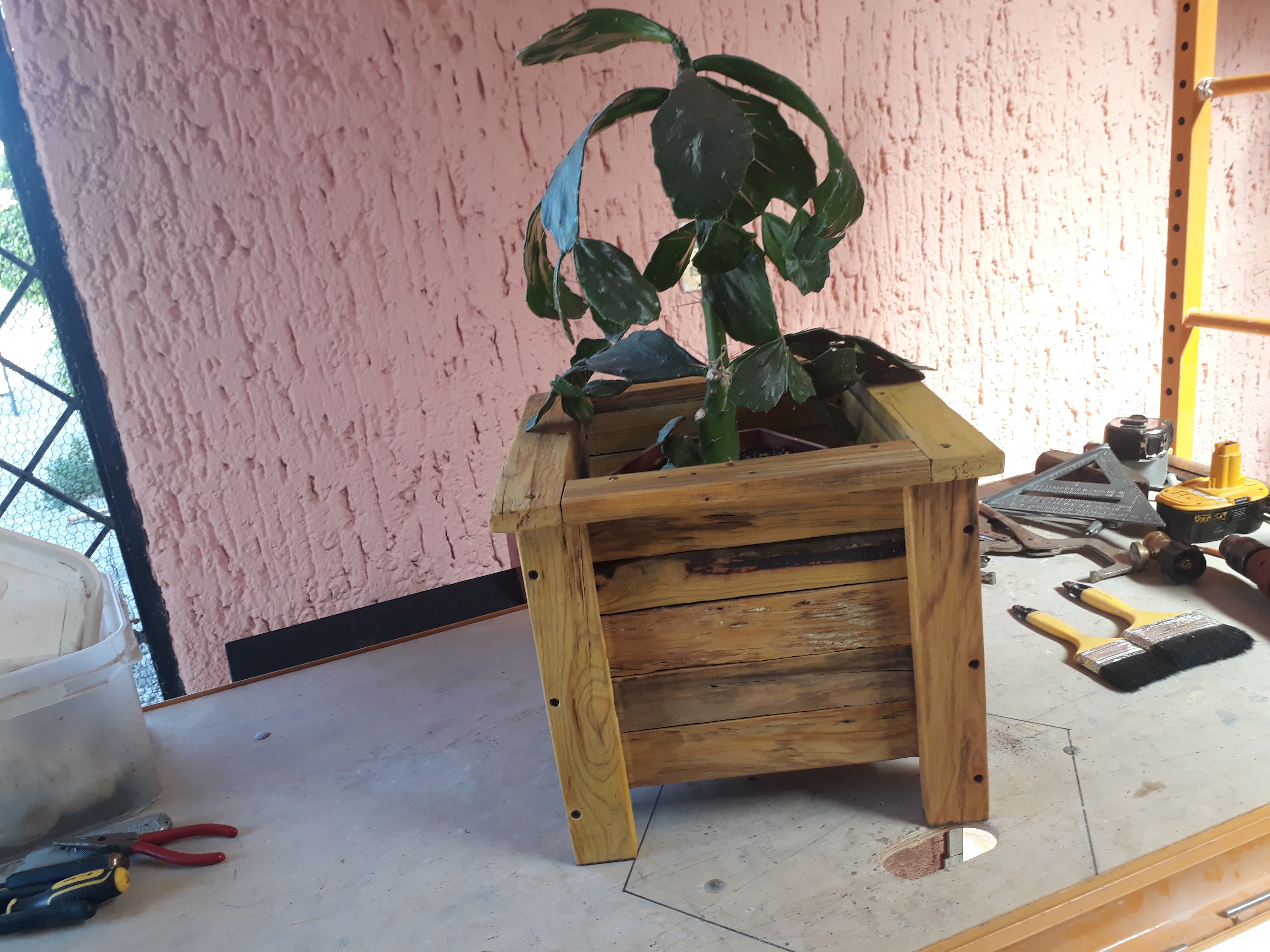 Mariscos Puerto Vallarta image 6