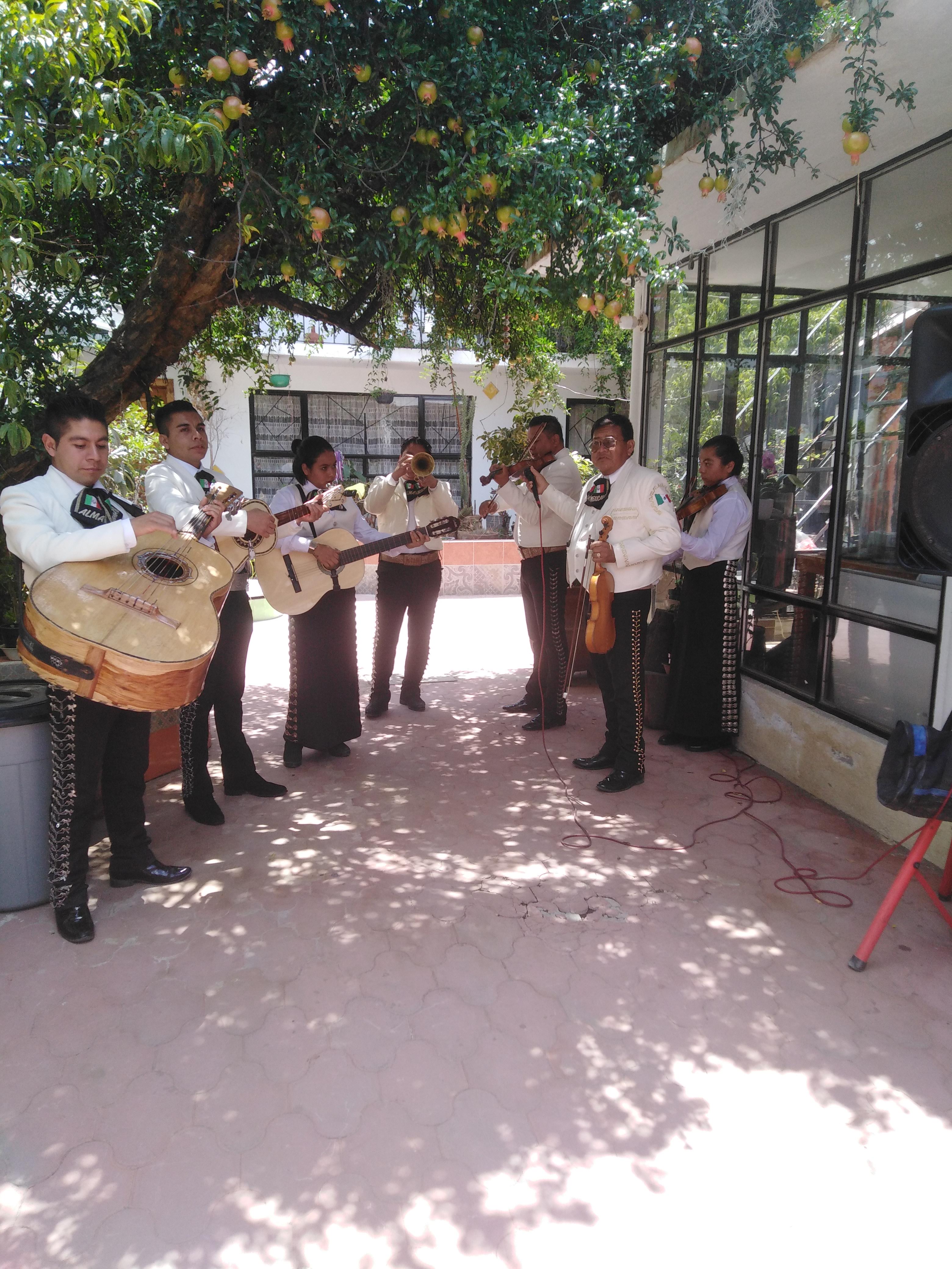 Ribstack Bbq image 4