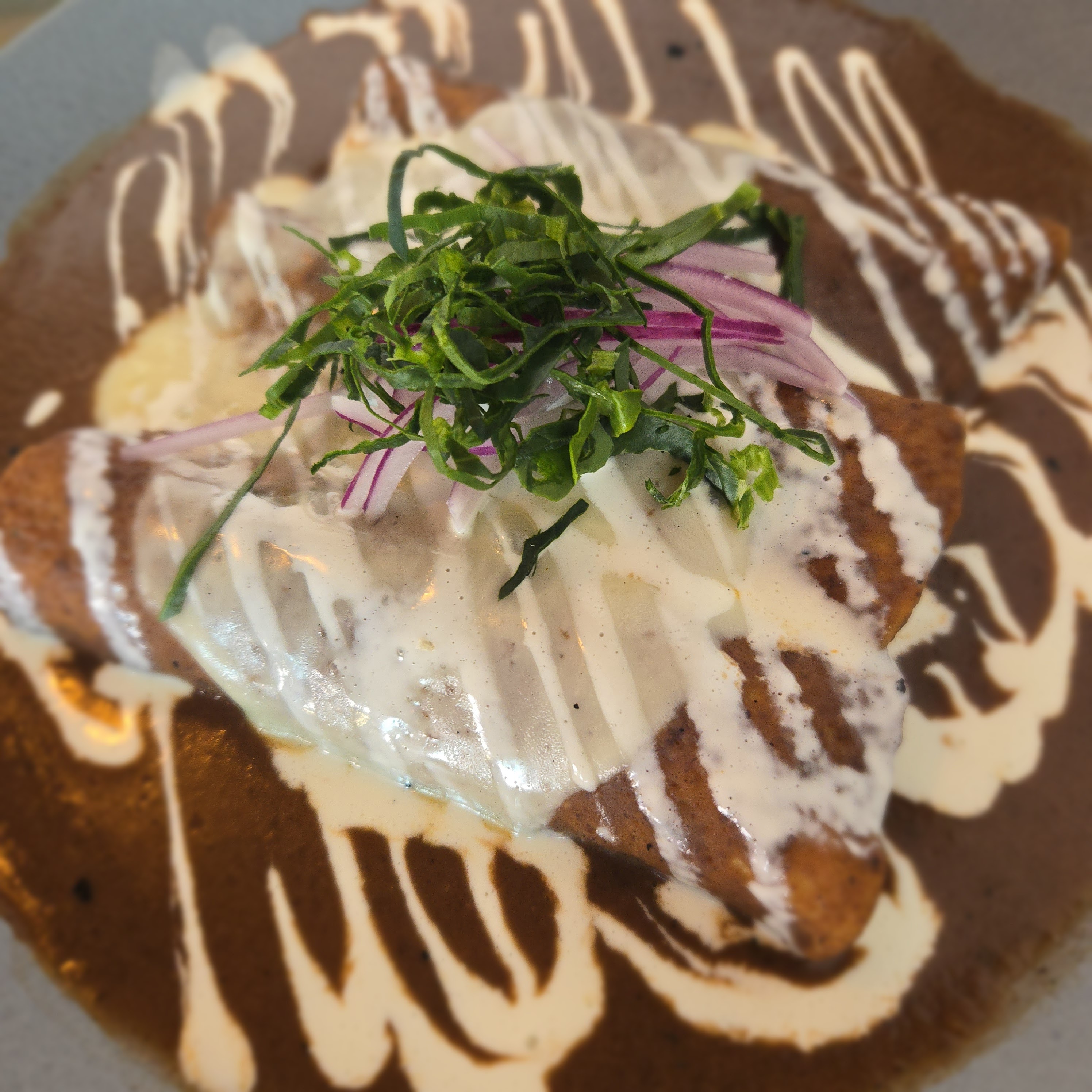 Gaánu cocina Abasolo 101 image 9