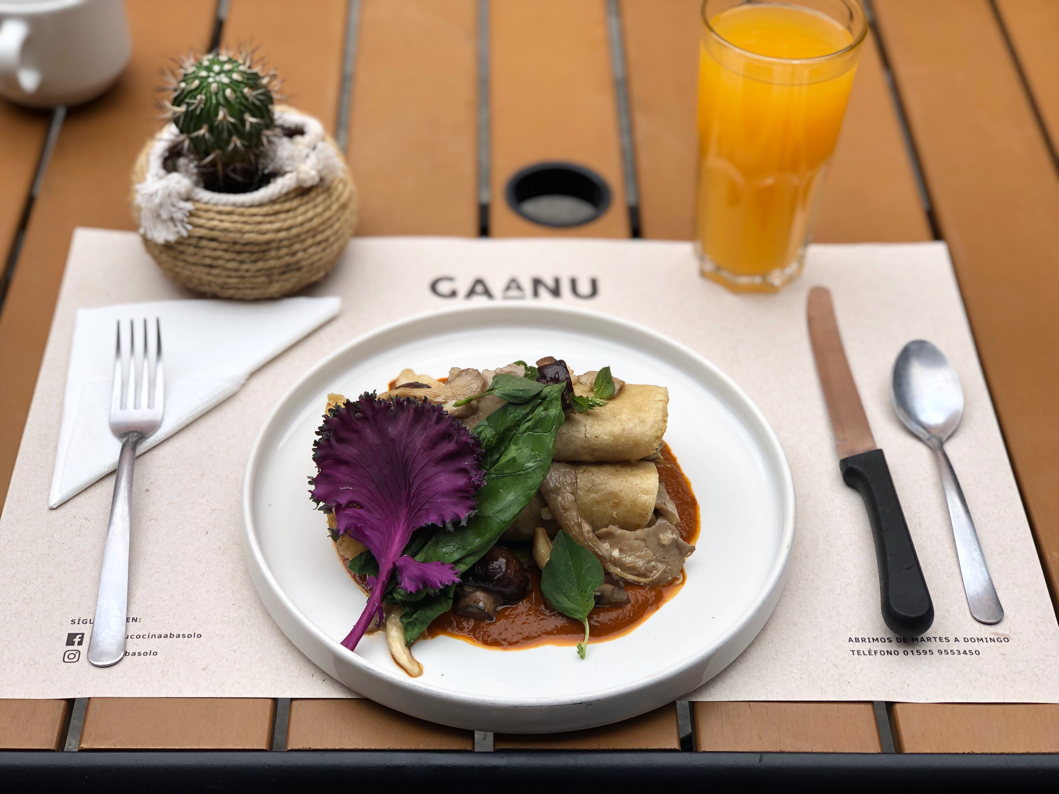 Gaánu cocina Abasolo 101 image 10