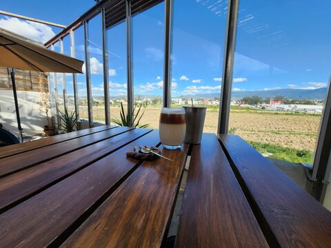 SOMOS CAFÉ image 8