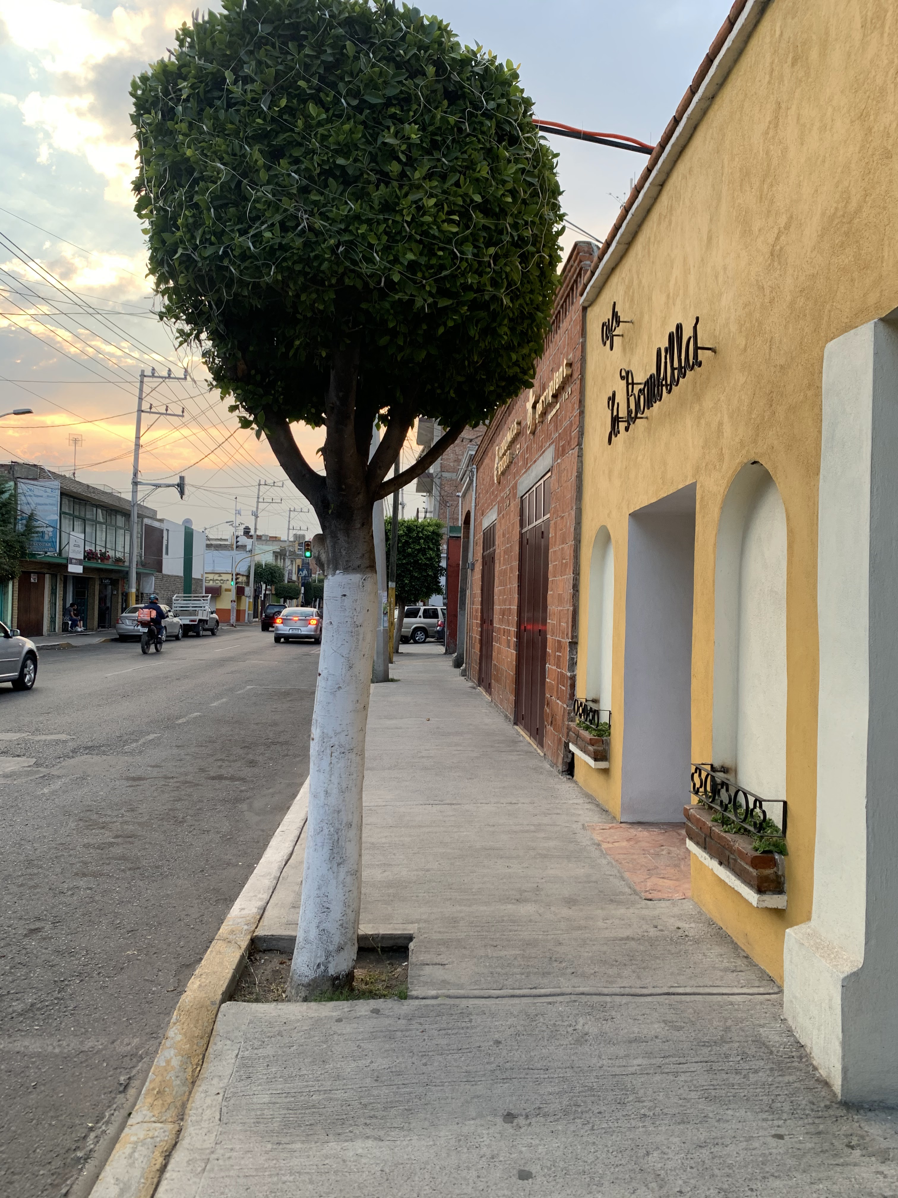 Café La Bombilla image 3