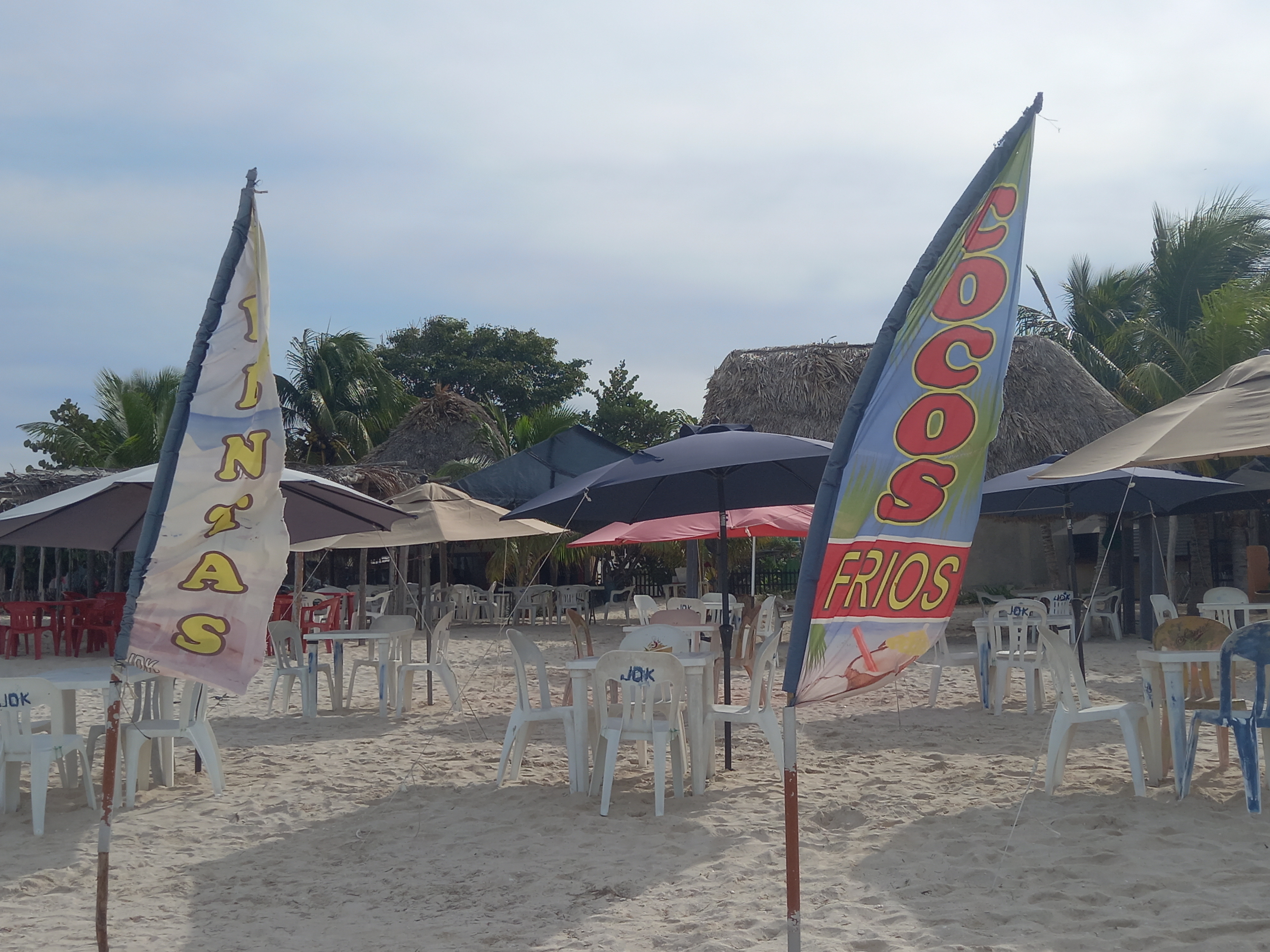 jDK renta de mesas y sombrillas image 2