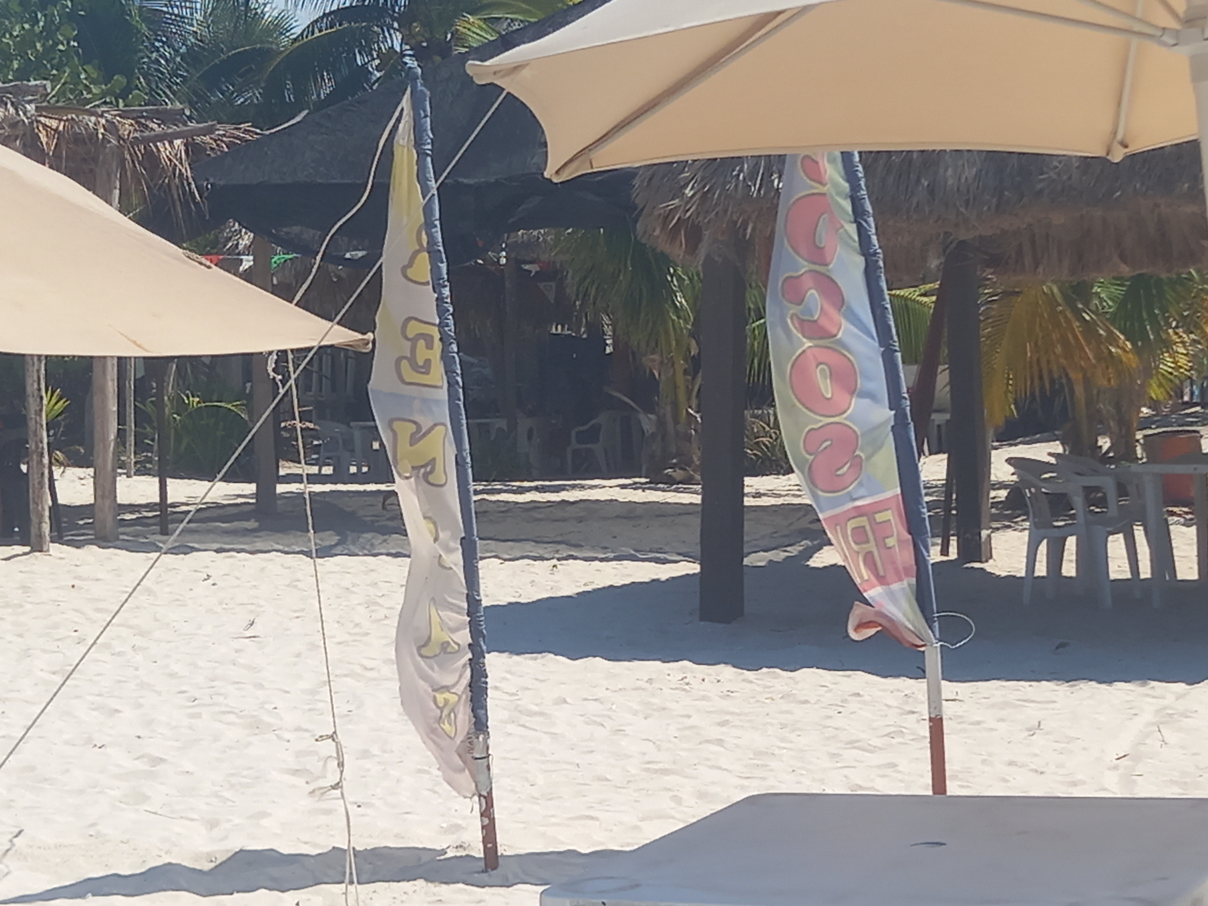 jDK renta de mesas y sombrillas image 5