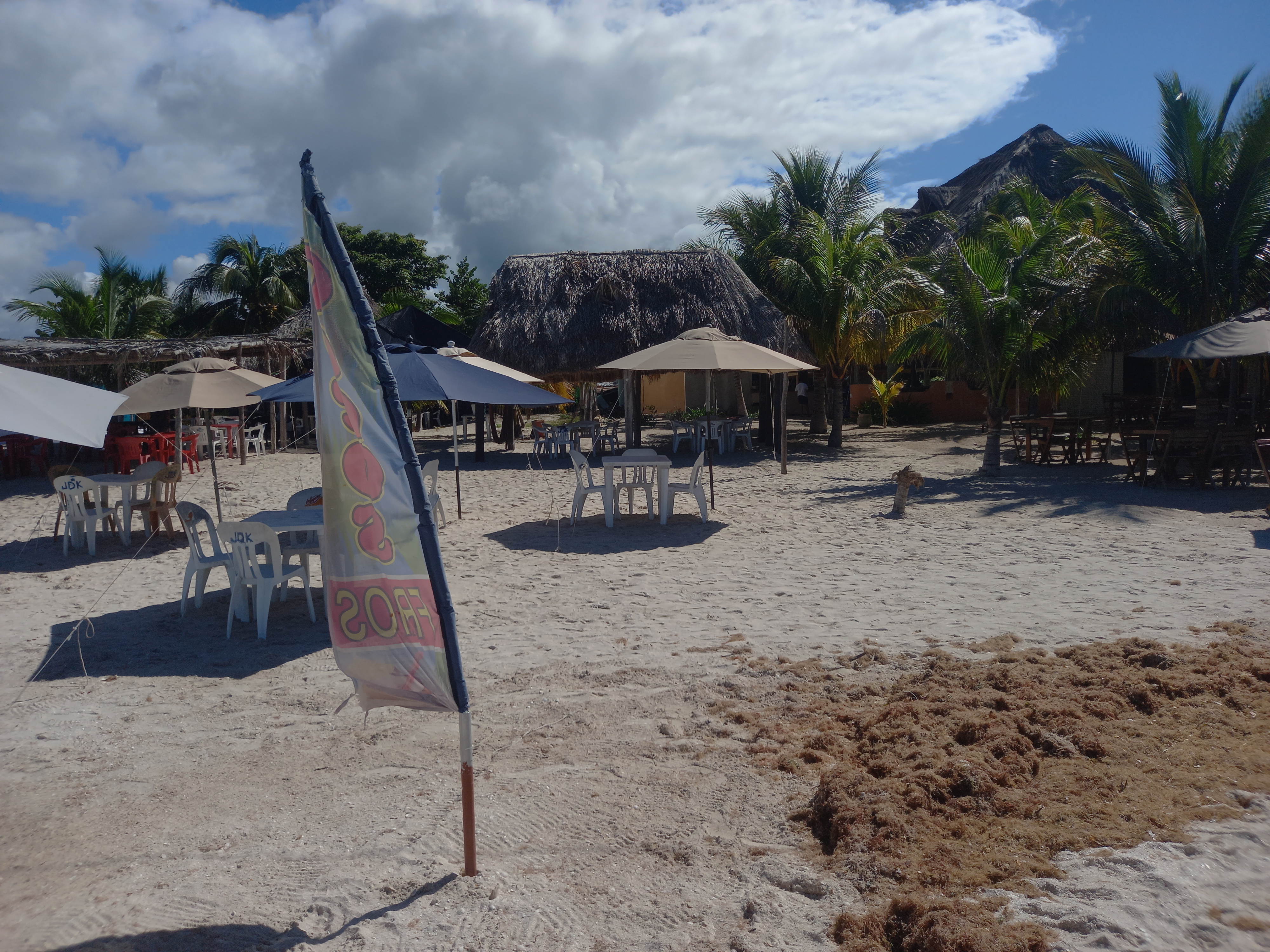 jDK renta de mesas y sombrillas image 6