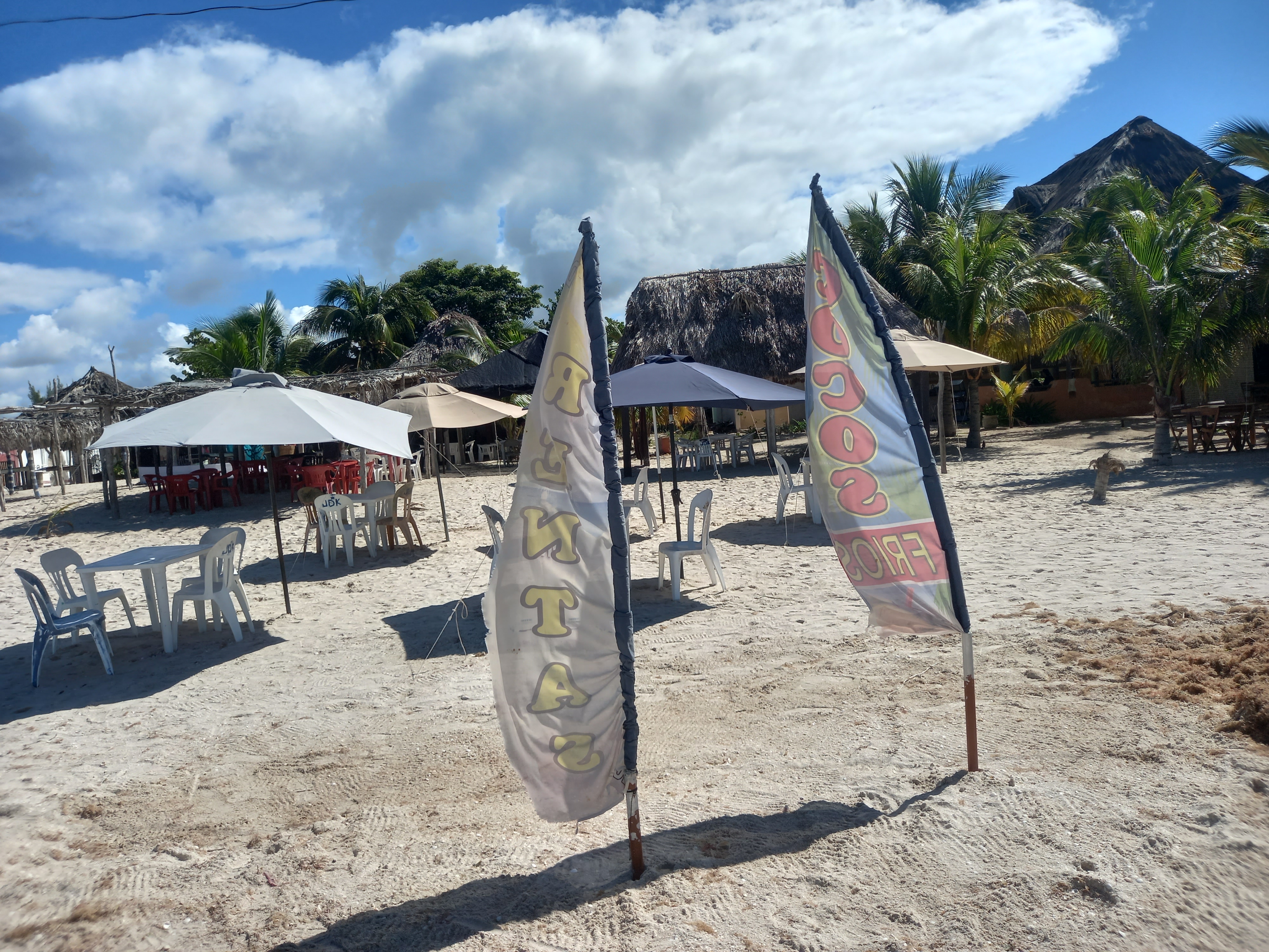 jDK renta de mesas y sombrillas image 7