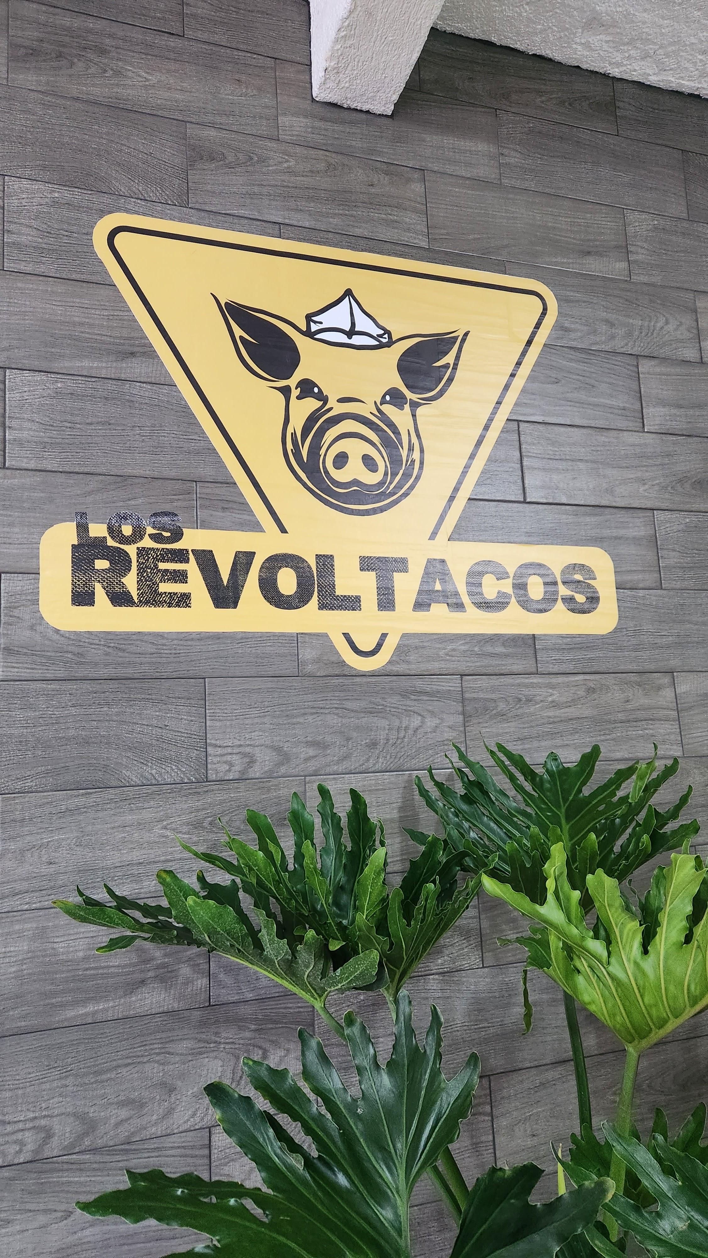Los Revoltacos image 3