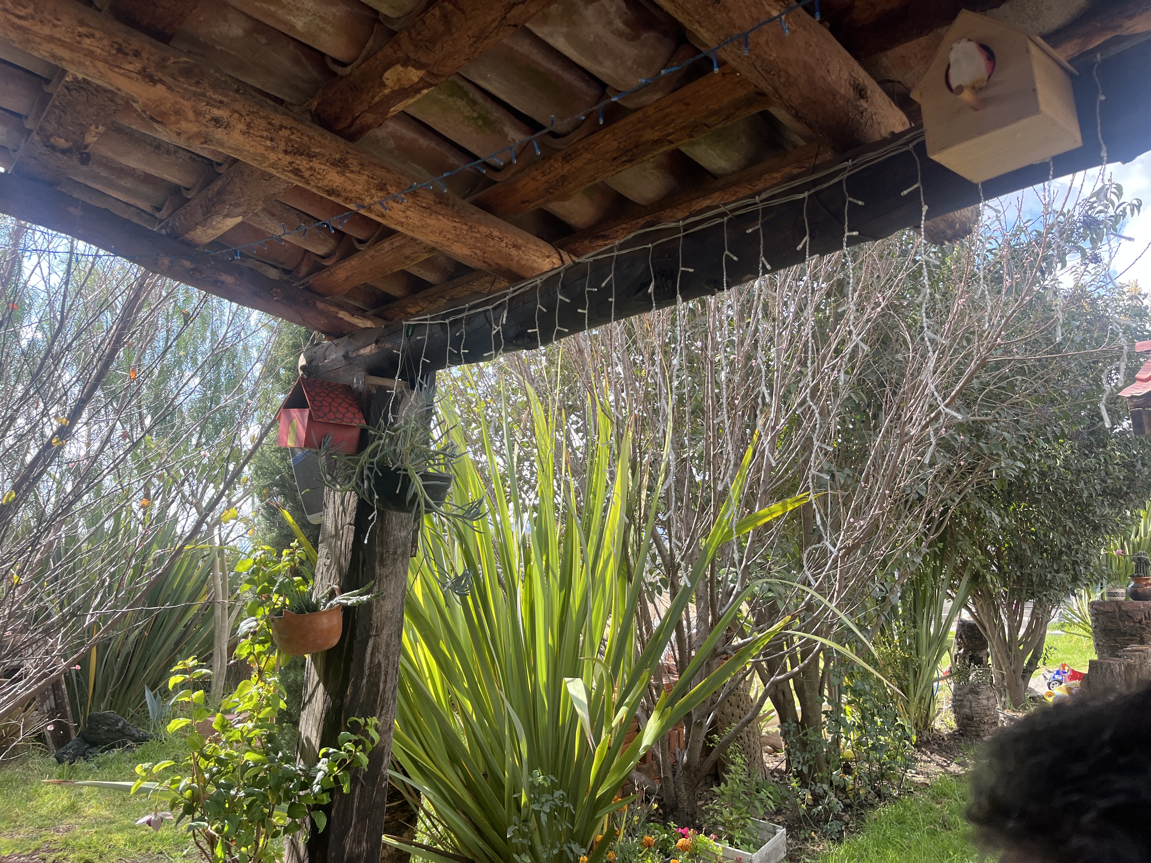 Barbacoa y Jardin "Sary" image 3