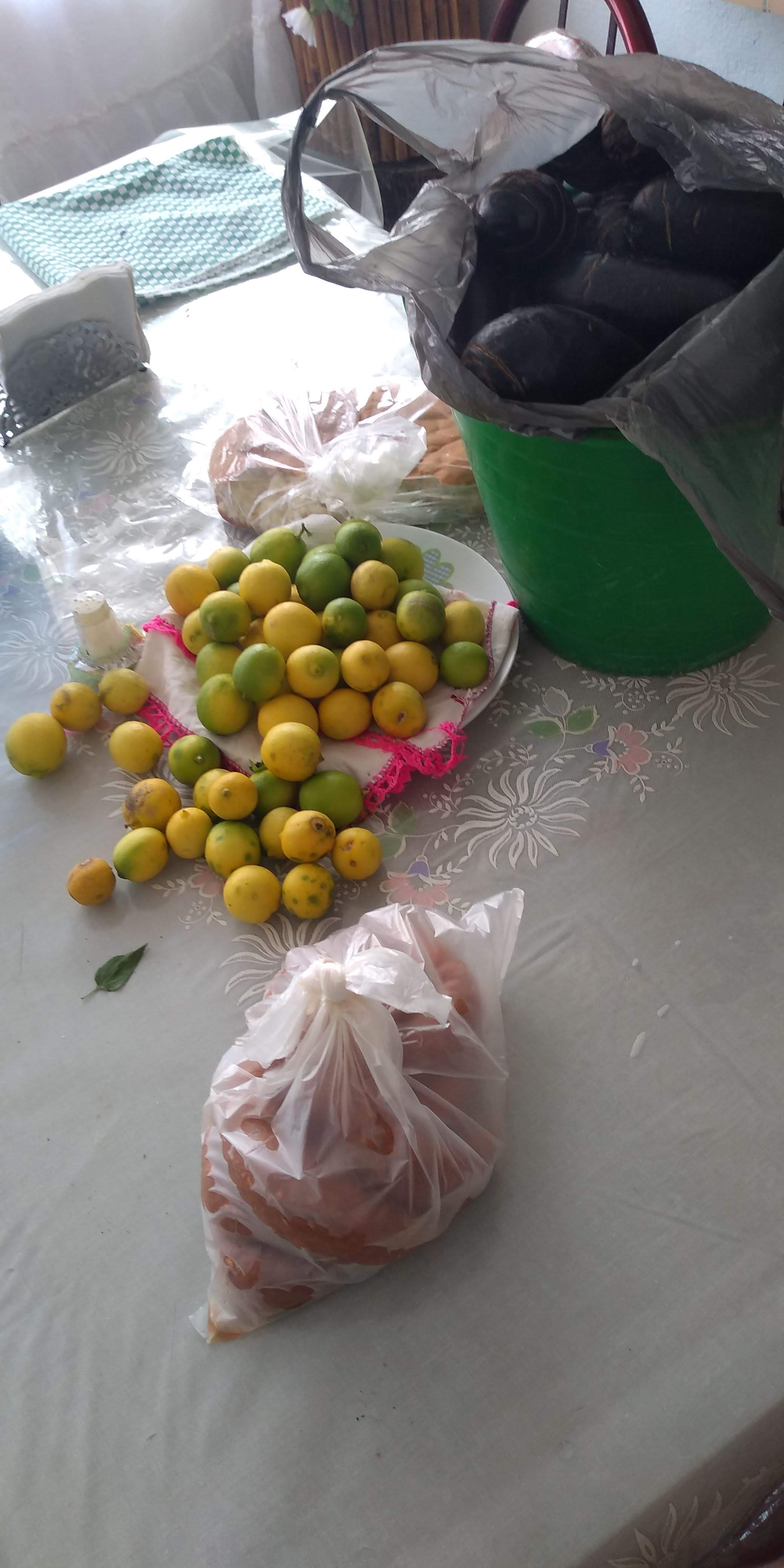 Gaspachos Inda image 1