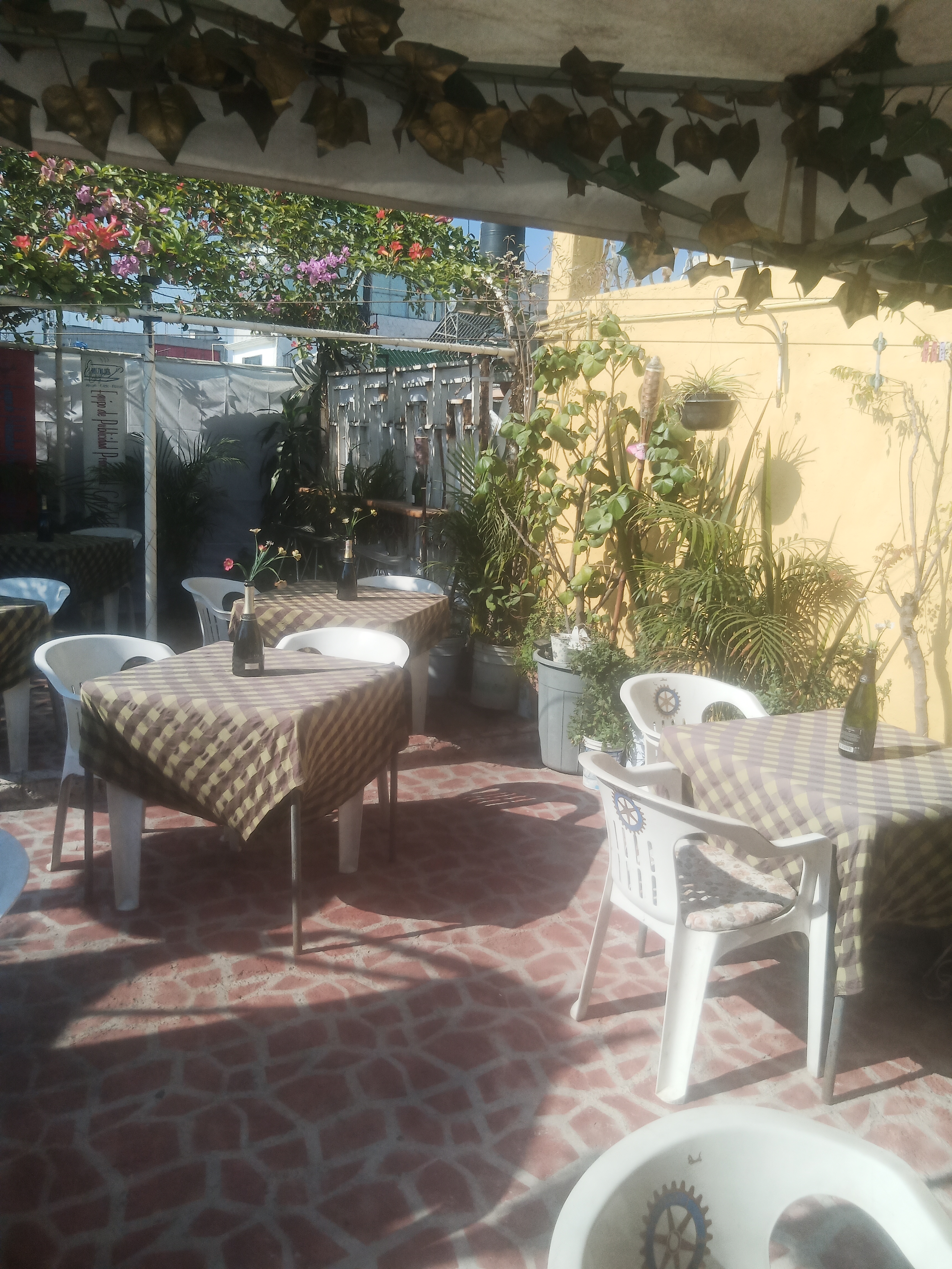 El Mesón del Quijote image 7