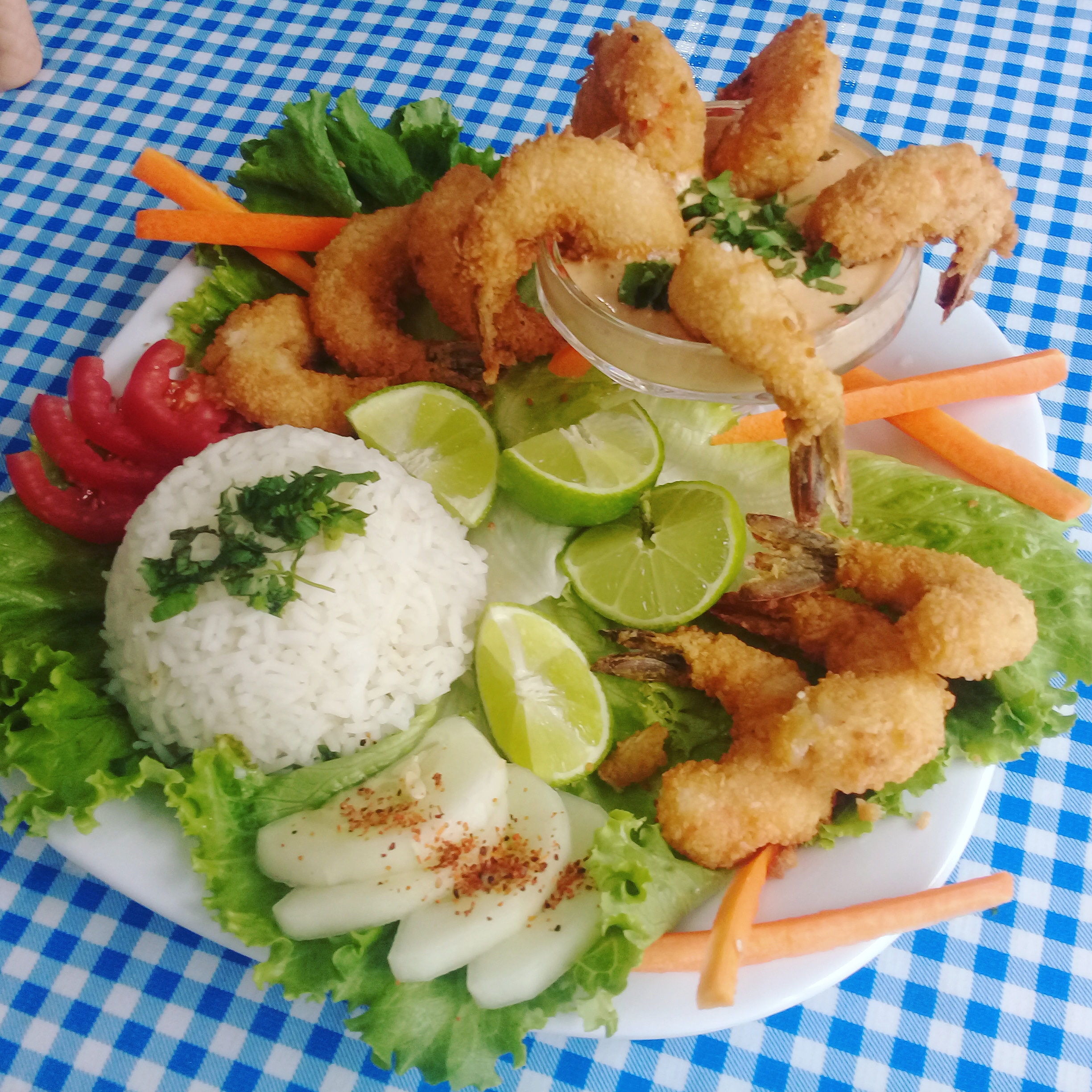 Las BrisasTonitla image 1