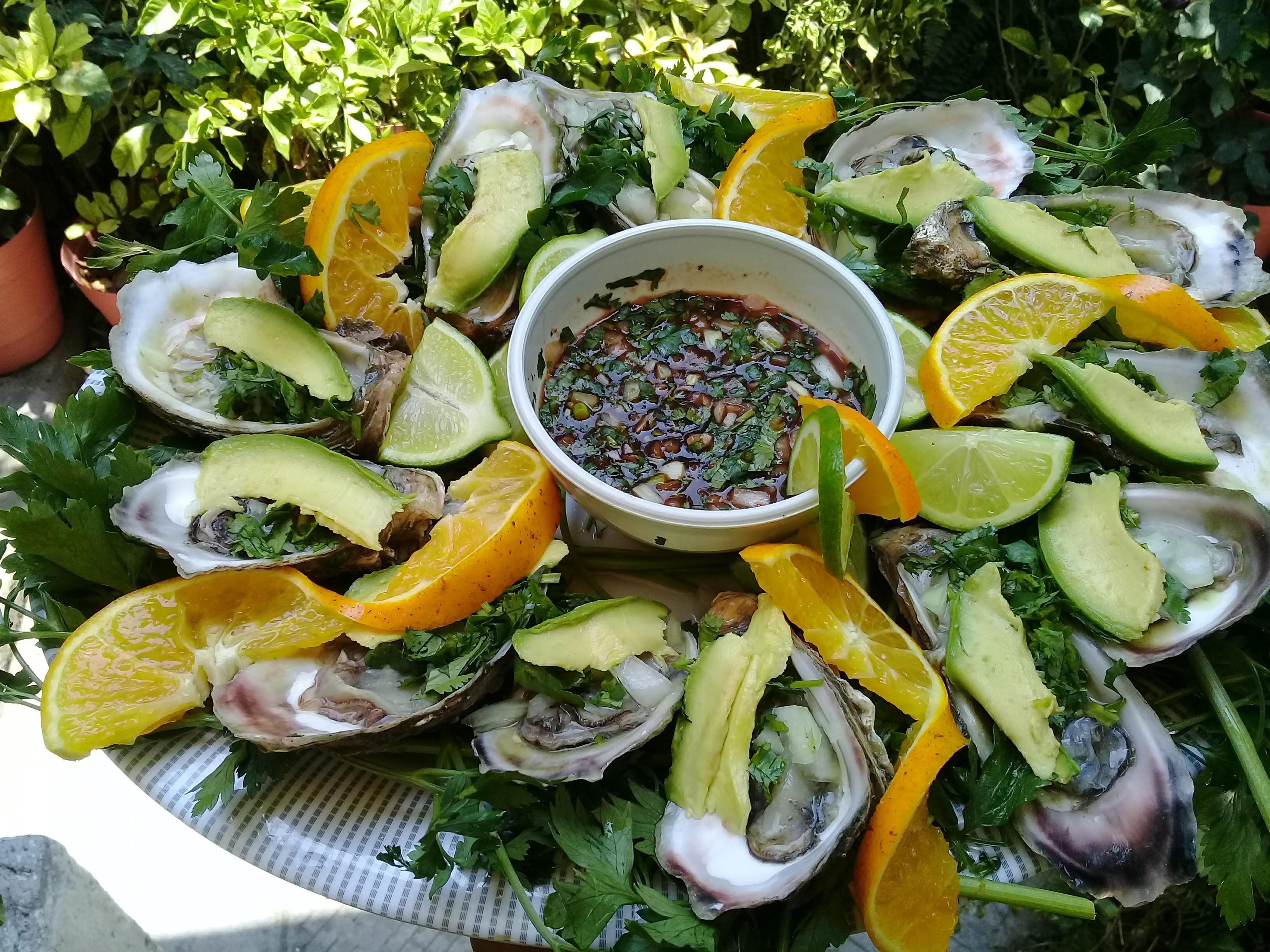 Las BrisasTonitla image 5