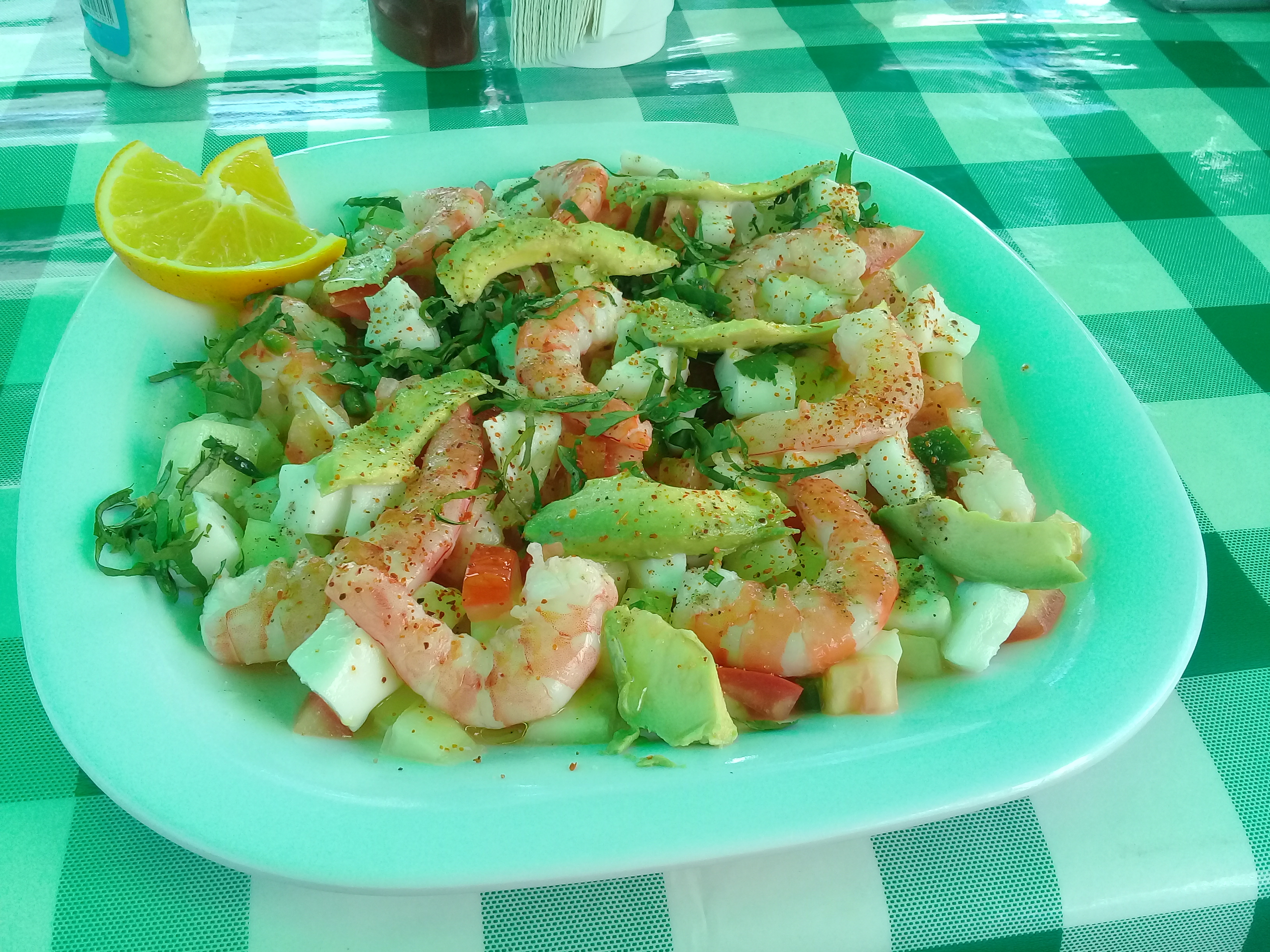 Las BrisasTonitla image 6