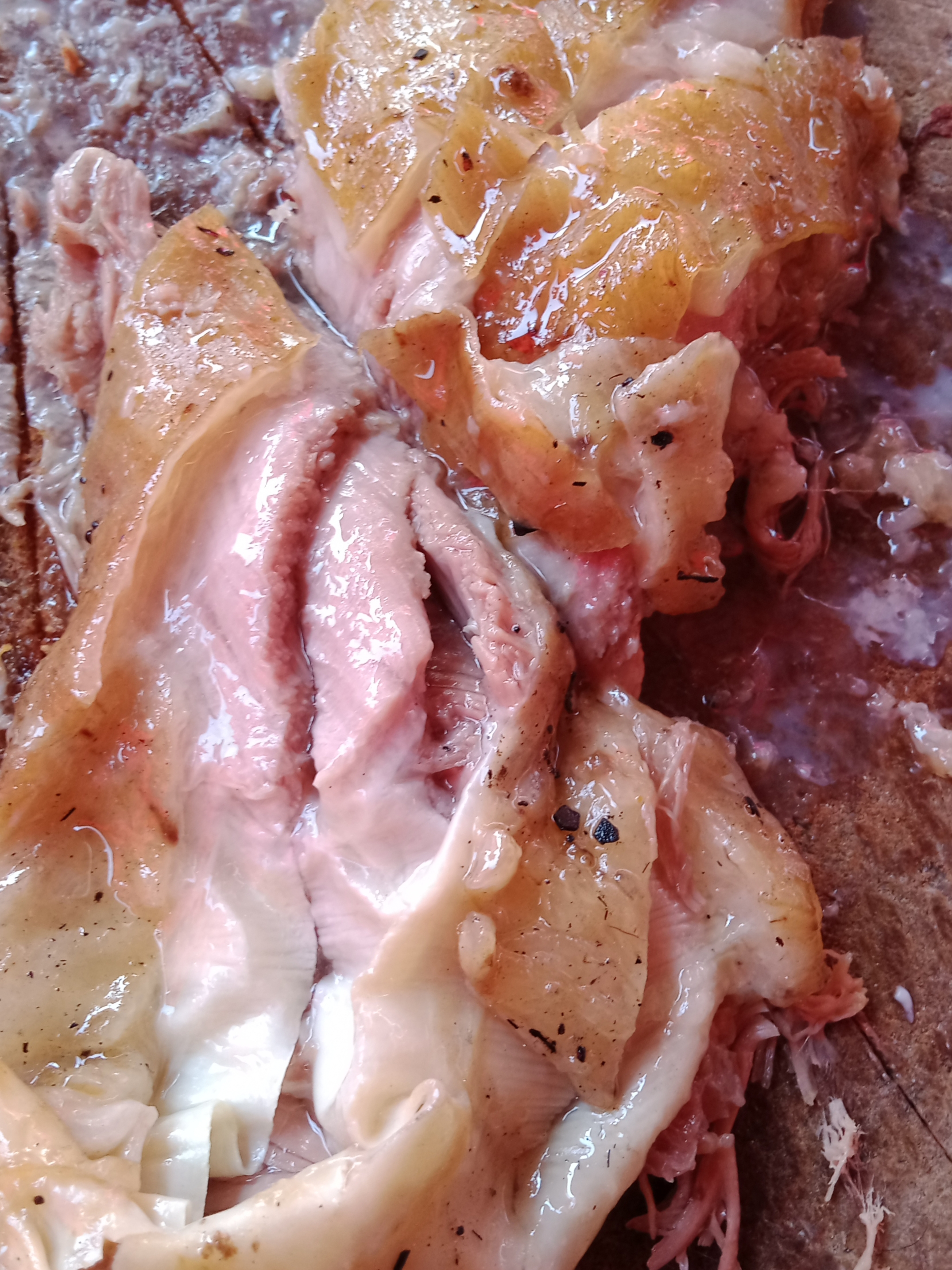 LA CABAÑA DEL CORDERO image 6