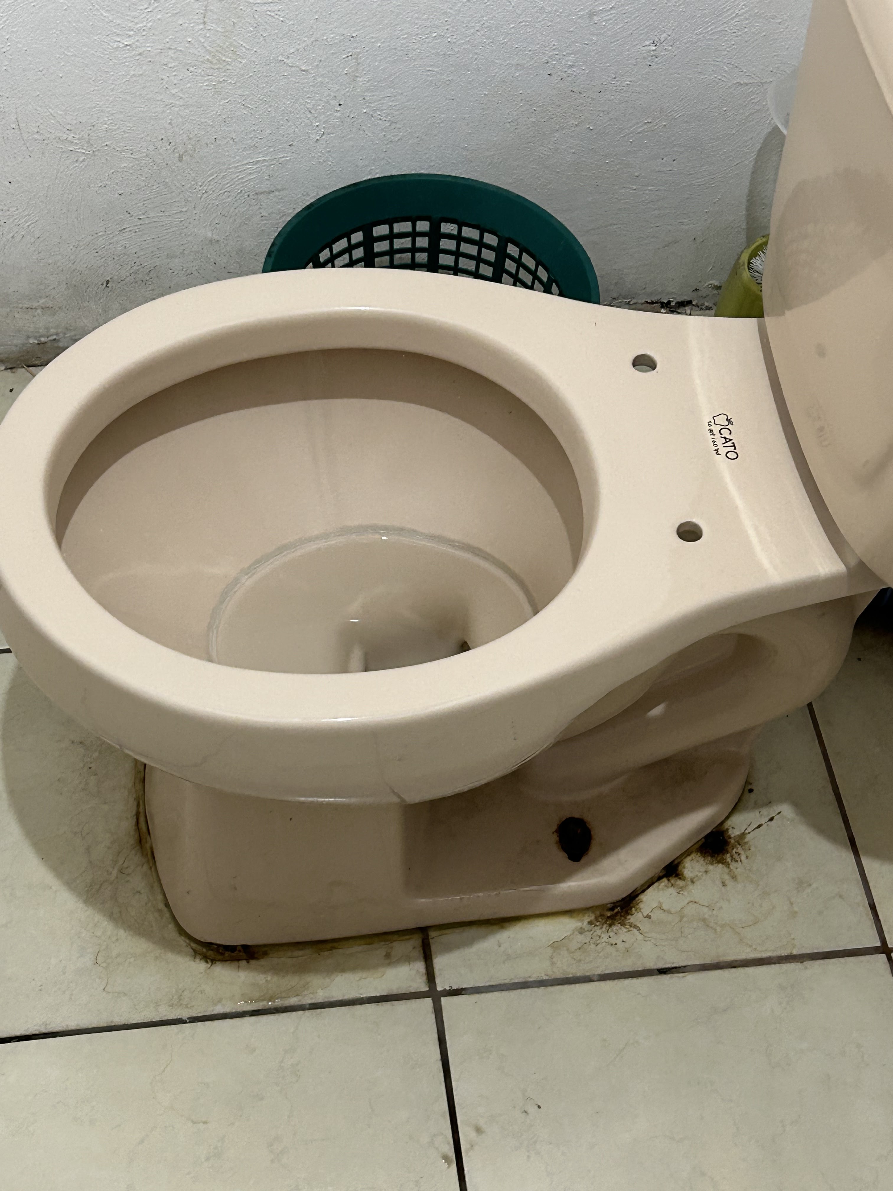 Taqueria del Mar image 8