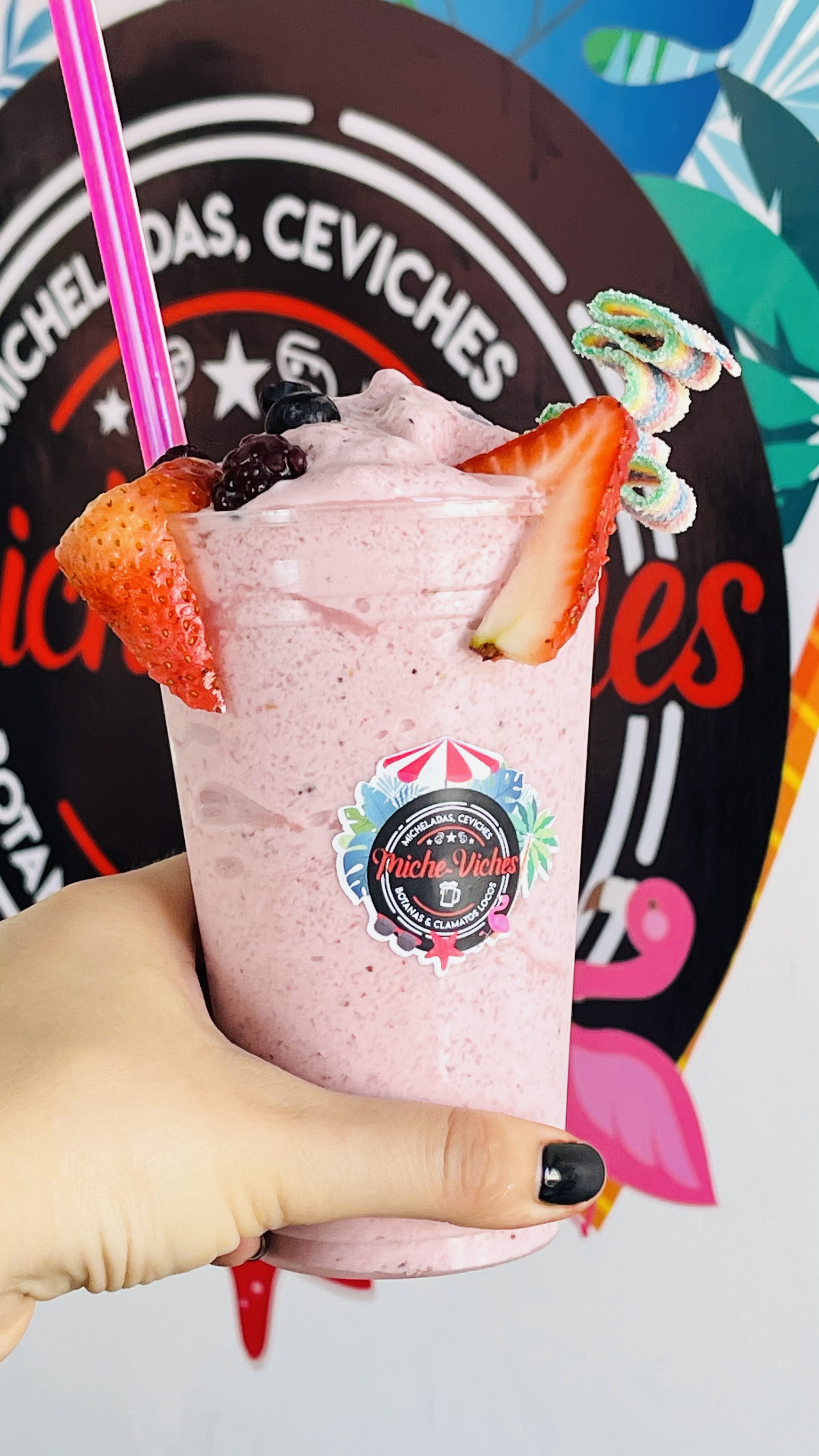 Cerveceria Miche-Viches image 8