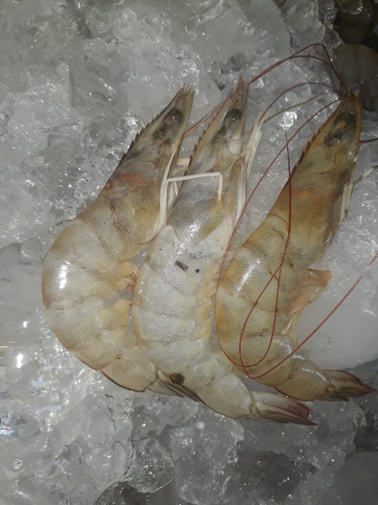 Pescadería Isla de Ahuacatlan image 9