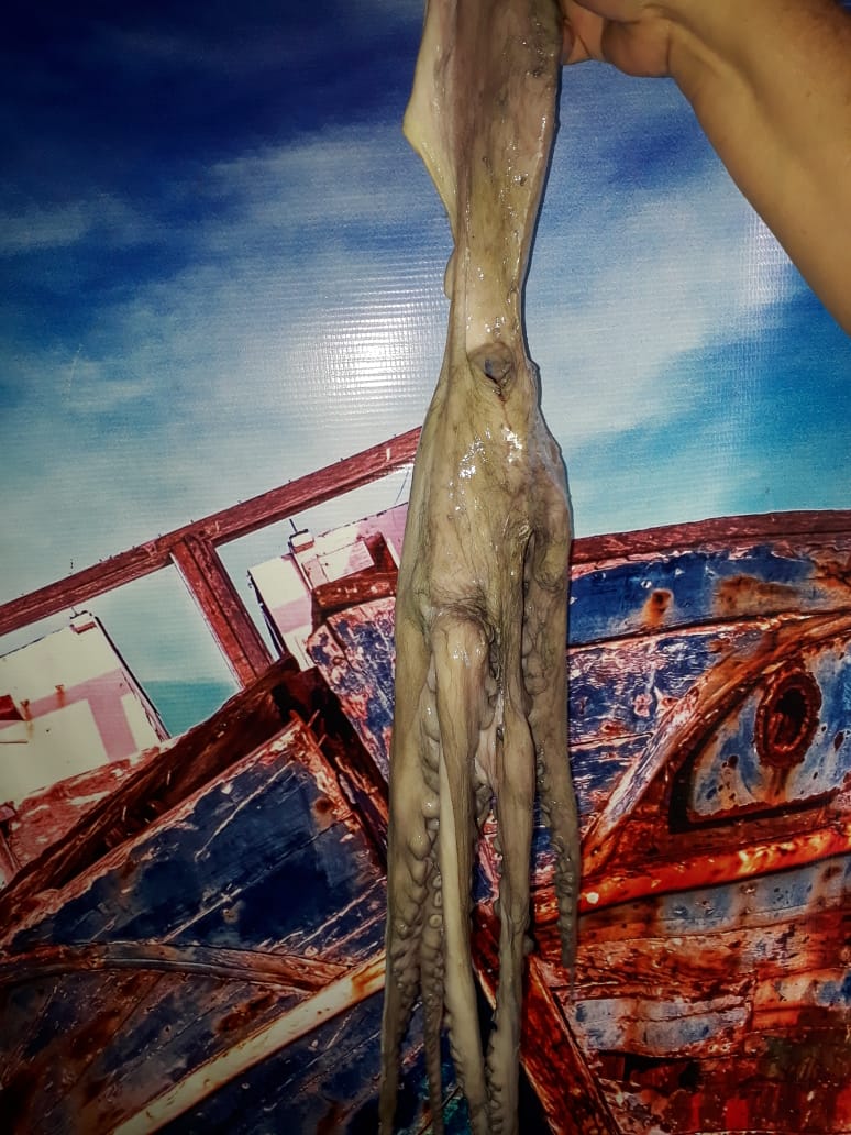 Pescadería Isla de Ahuacatlan image 10