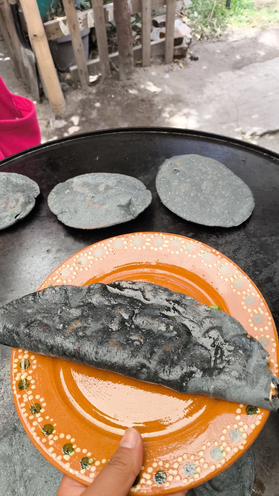 Mole de panza "Las palmas" image 6