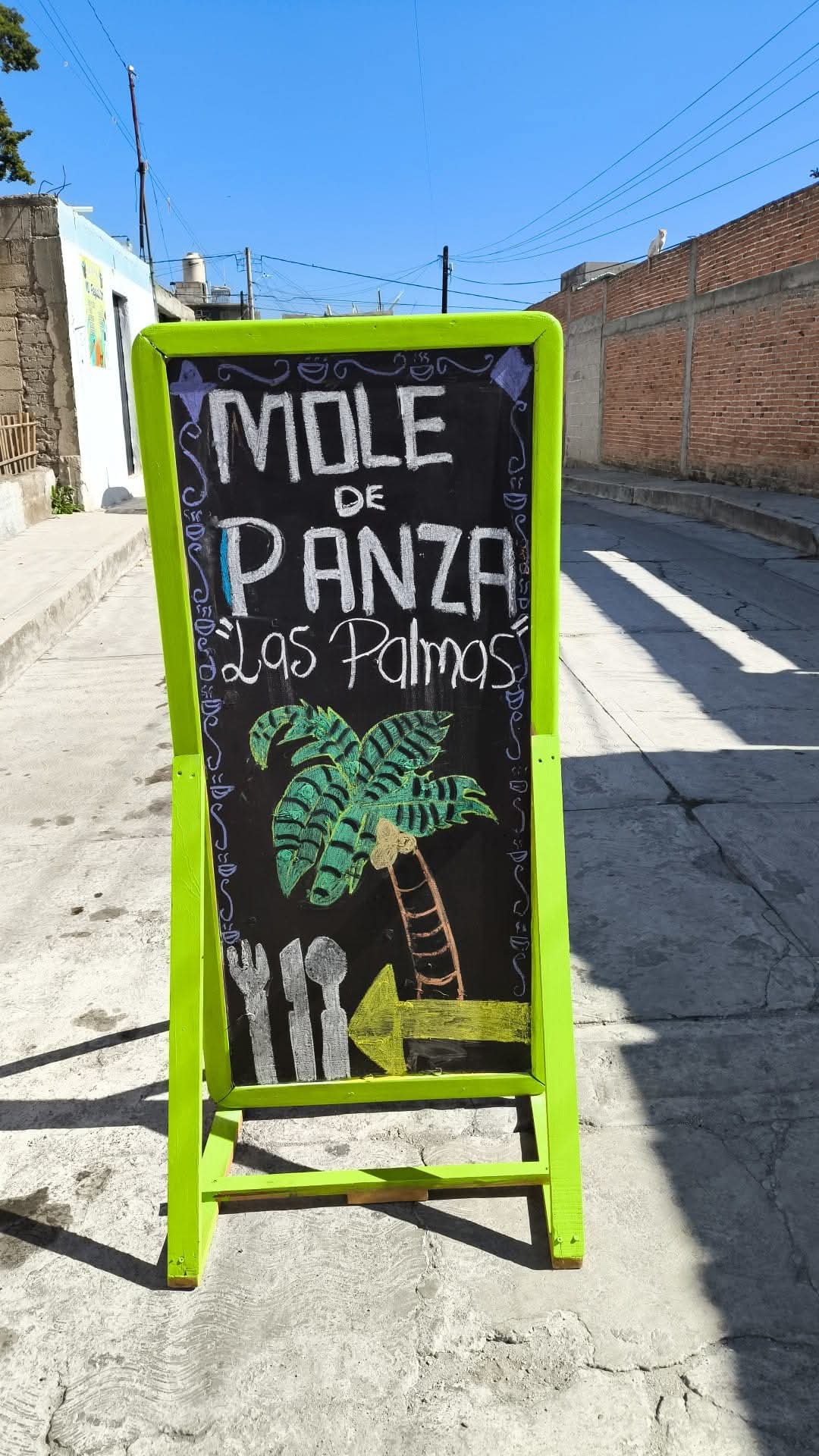 Mole de panza "Las palmas" image 9