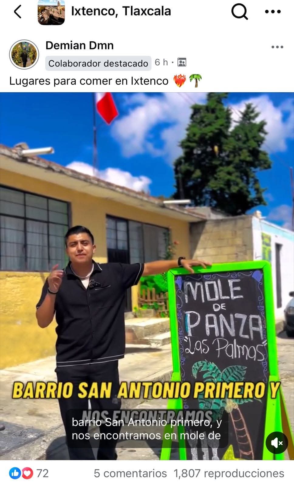 Mole de panza "Las palmas" image 10