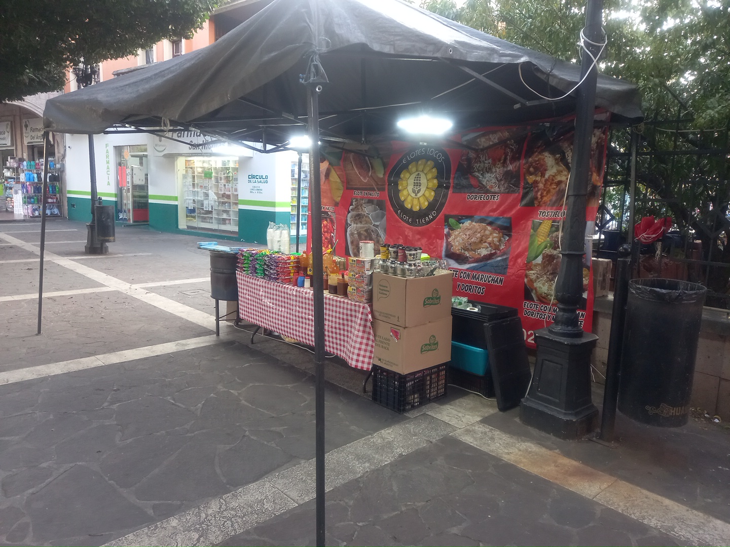 ELOTES LOCOS image 1