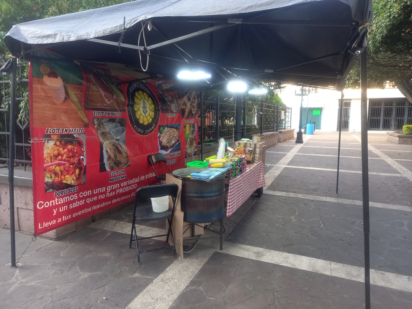 ELOTES LOCOS image 10