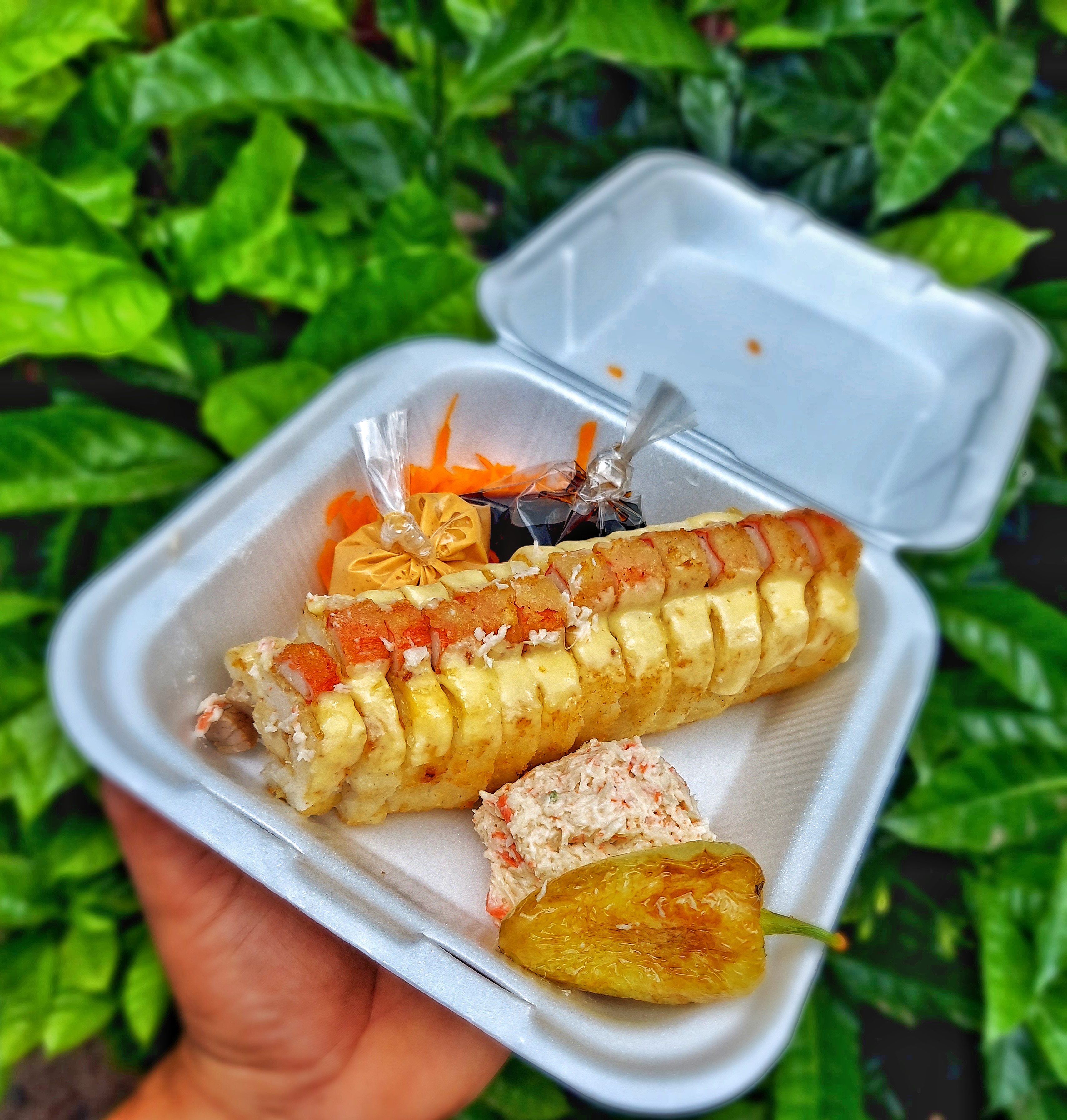 Sushi shen long image 5