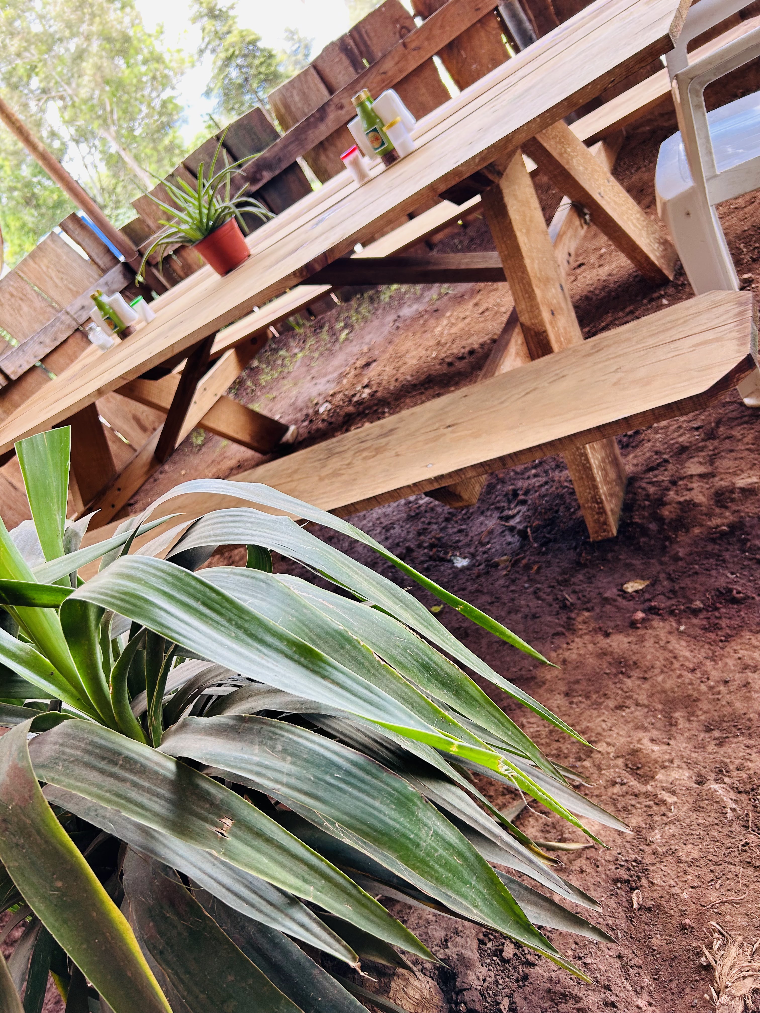 Pollos al pastor “Los Sabrosos” Acuitzio image 4