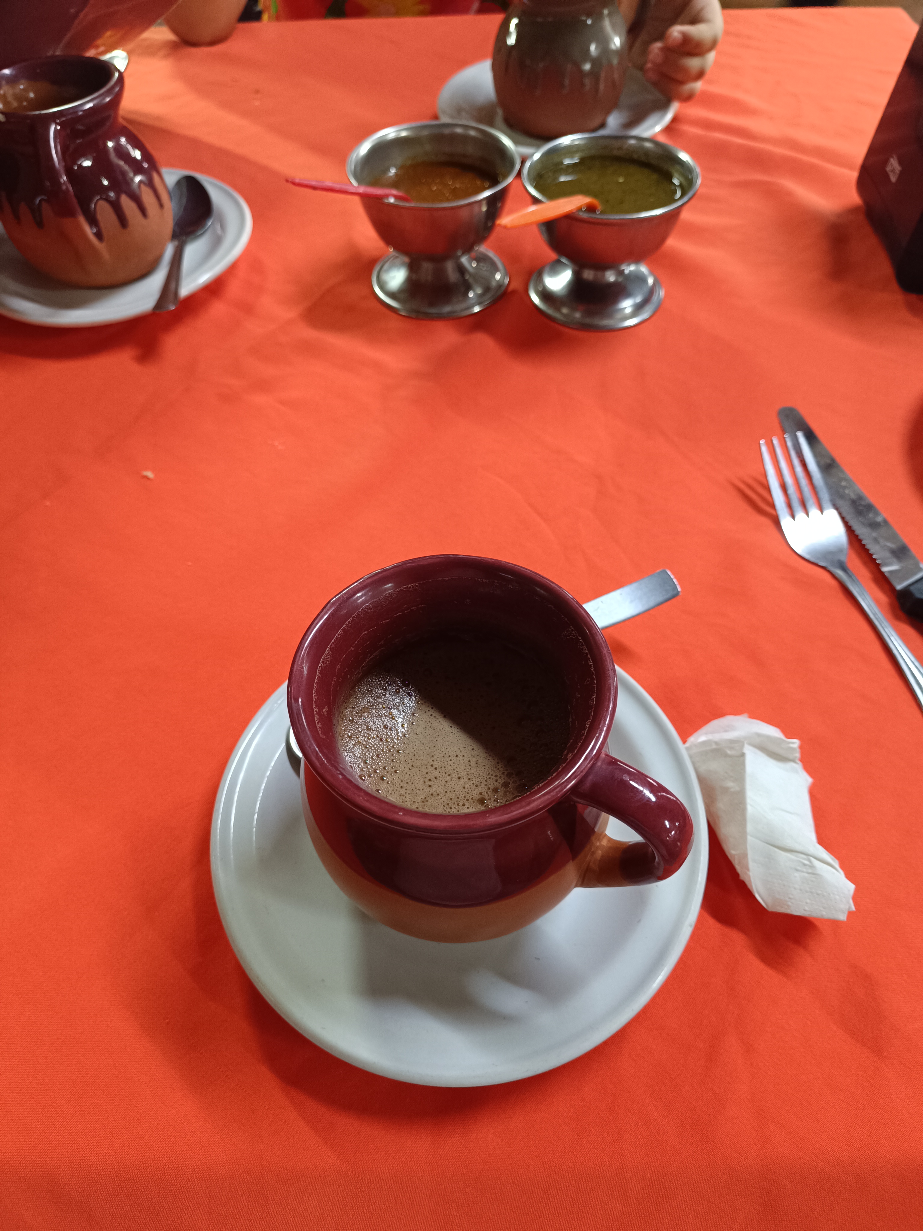 El Rincon Tabasqueño image 4