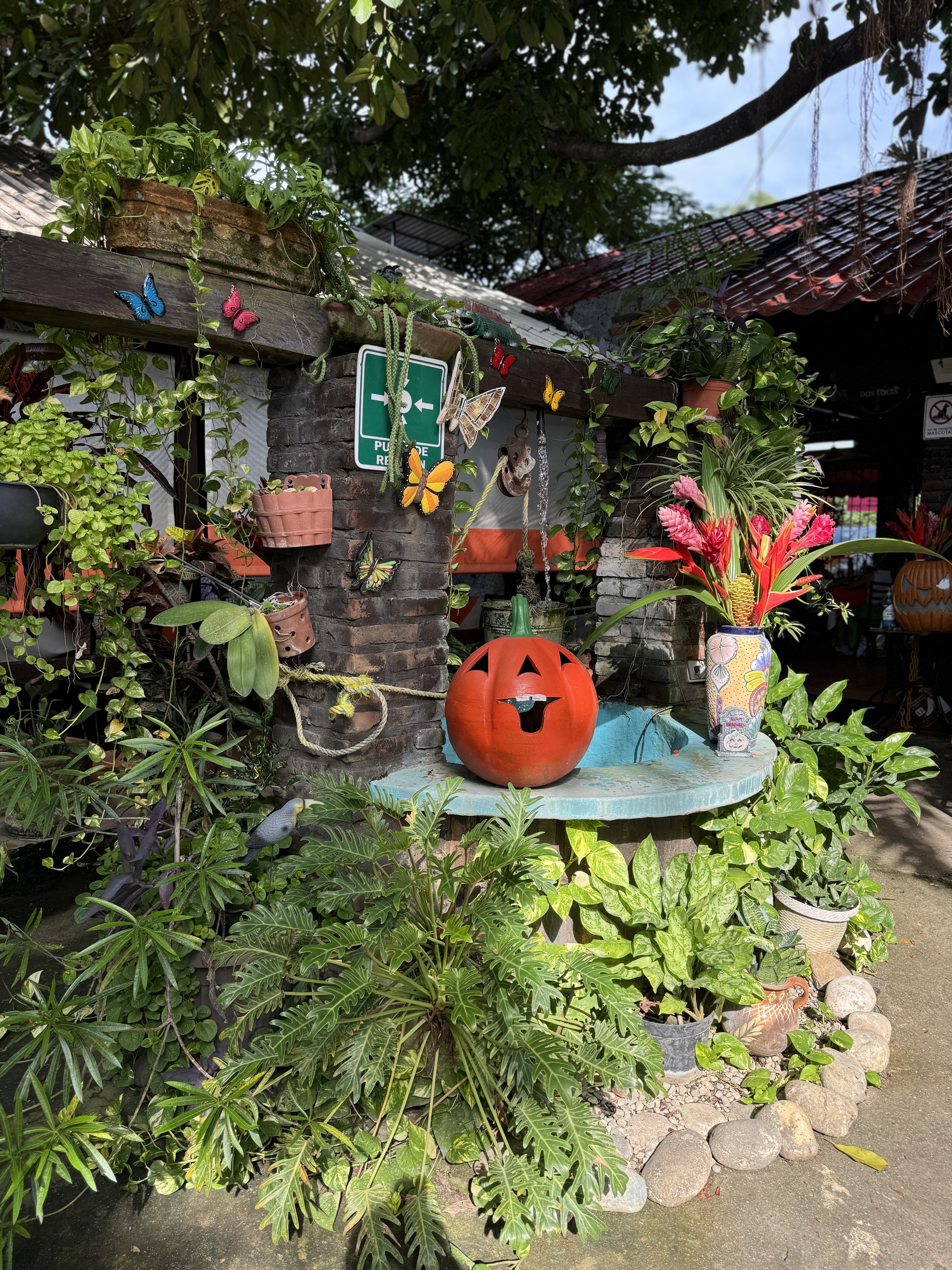 El Rincon Tabasqueño image 7