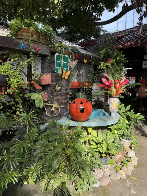 El Rincon Tabasqueño image 7
