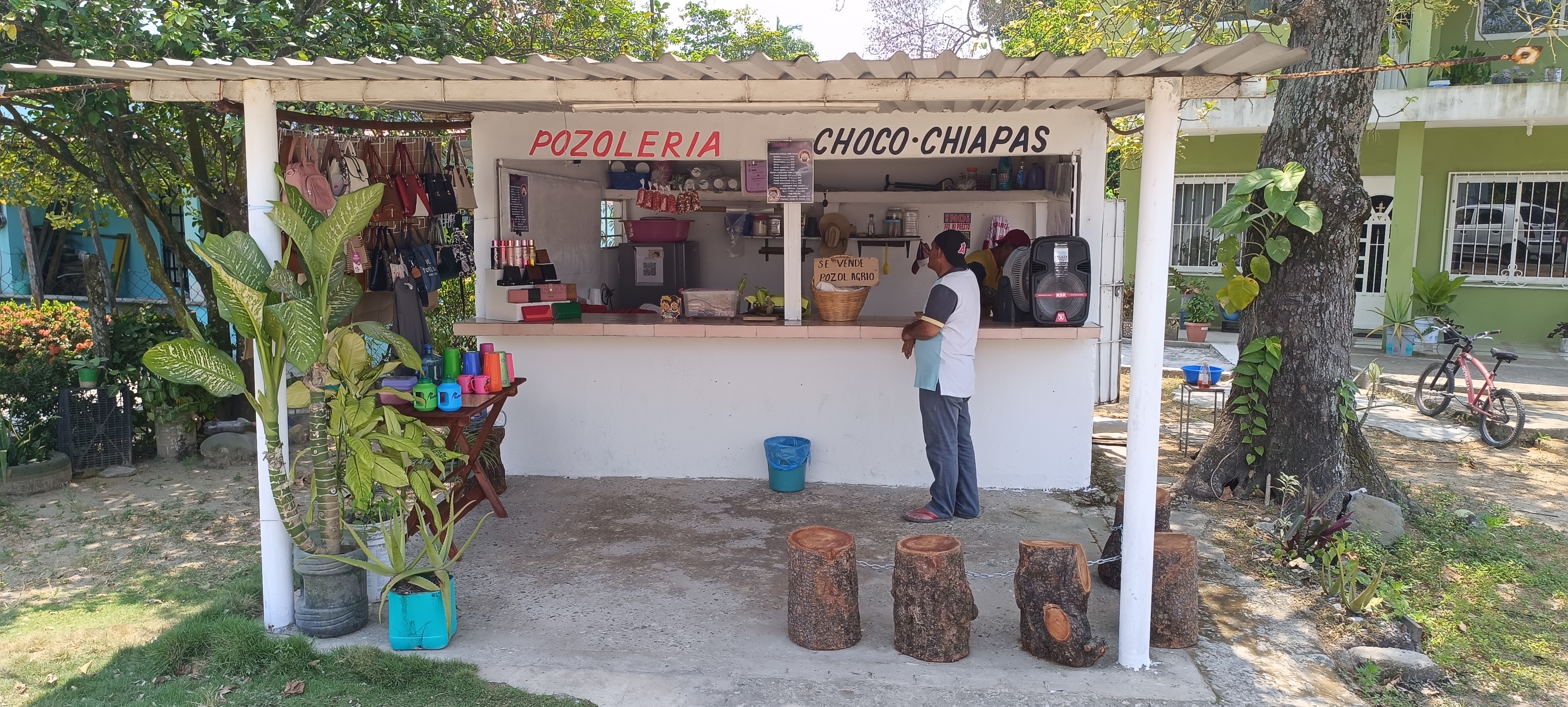 Pozoleria Choco - Chiapa image 6