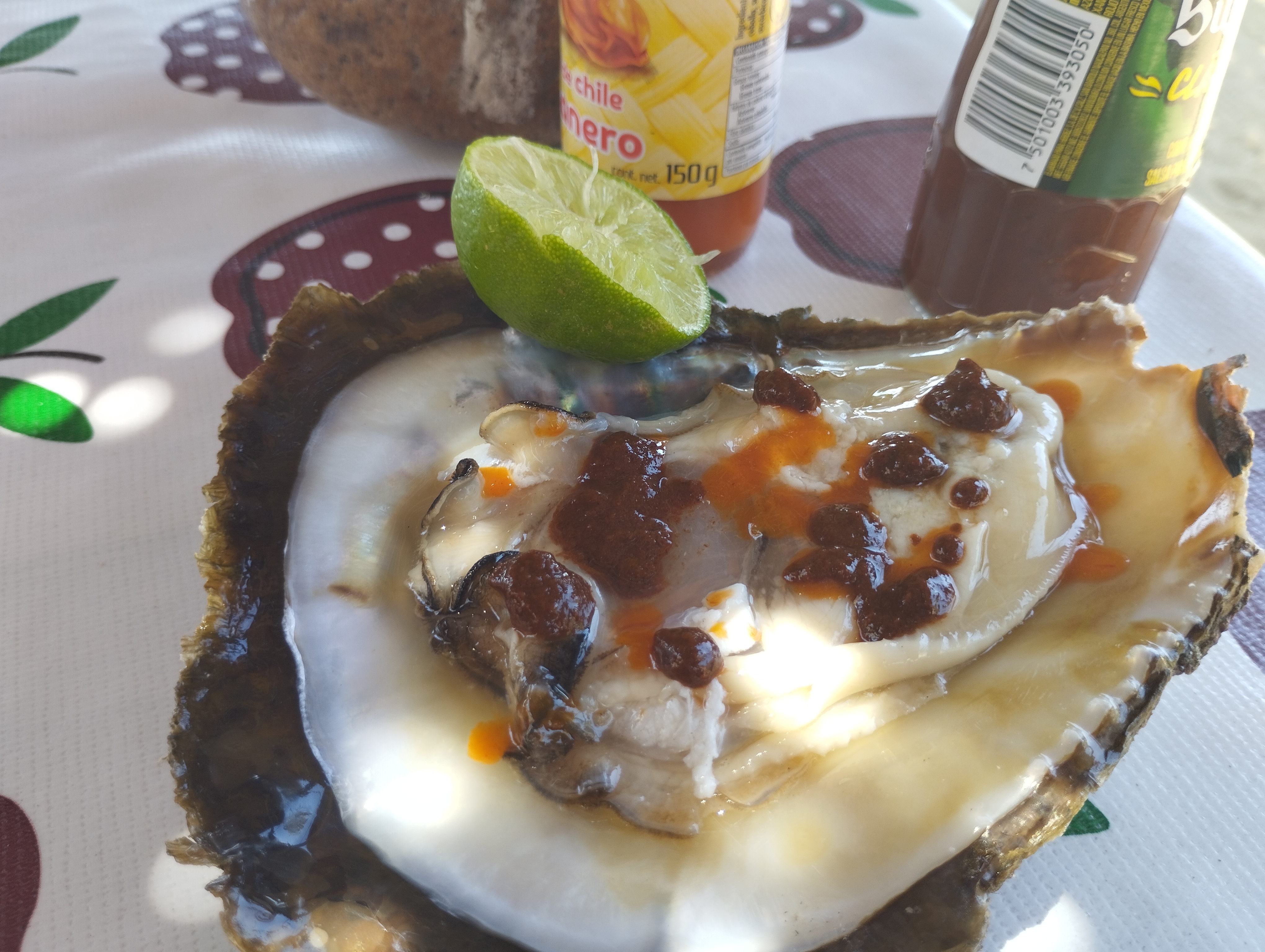 Cabaña Mar y Lago image 9