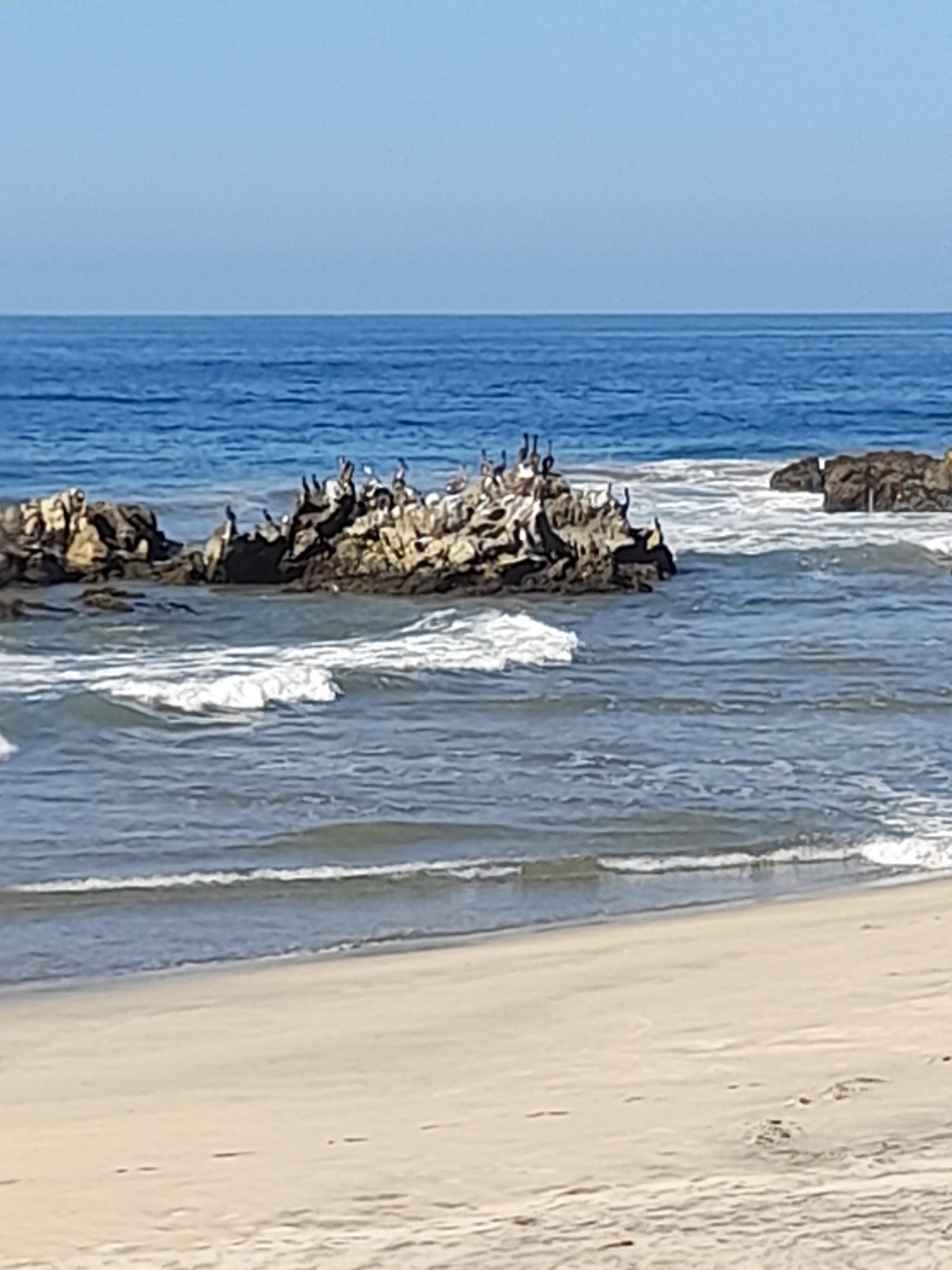 Palapa Pancho Ventura image 4