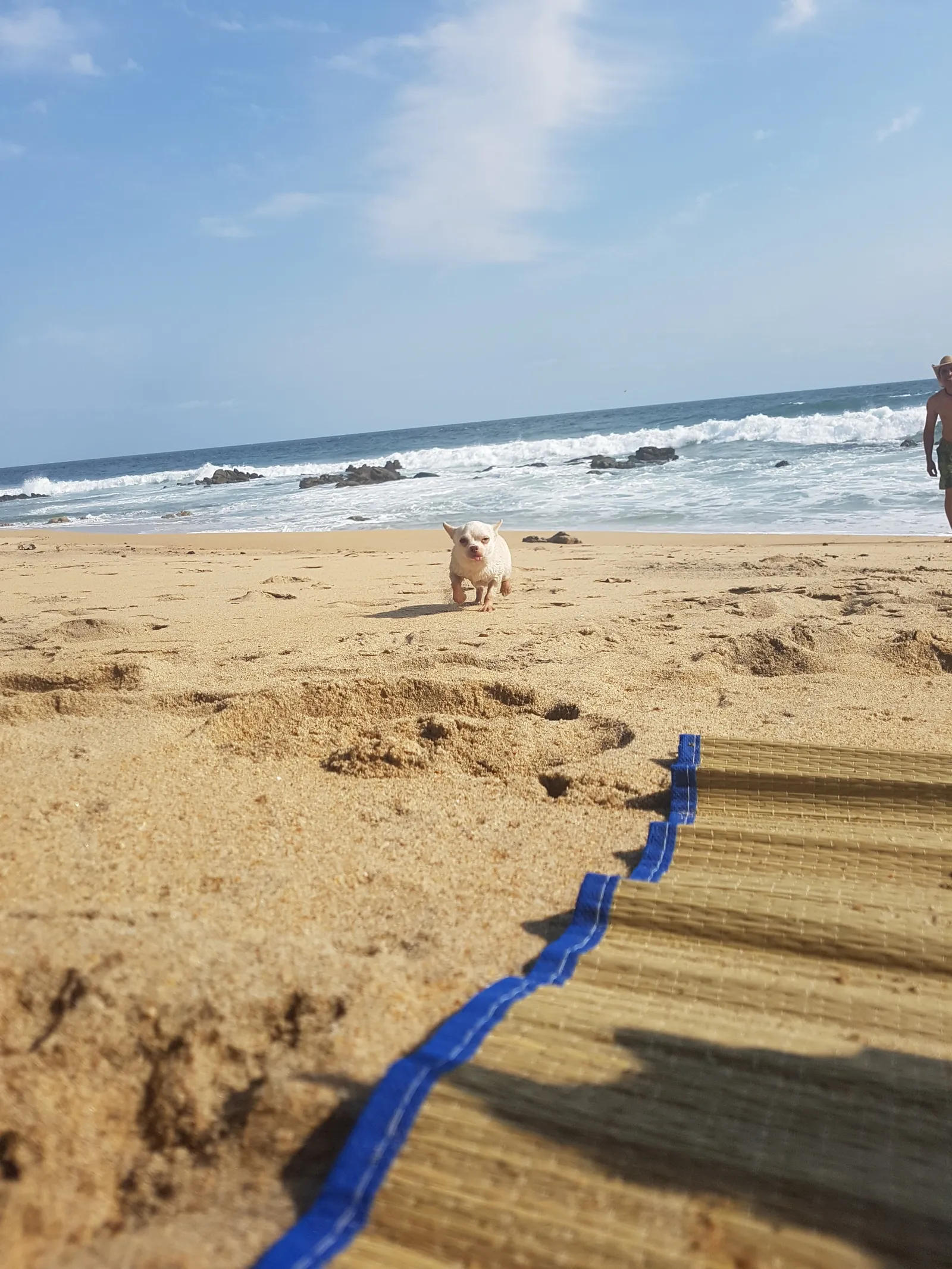 Bolumba image 5