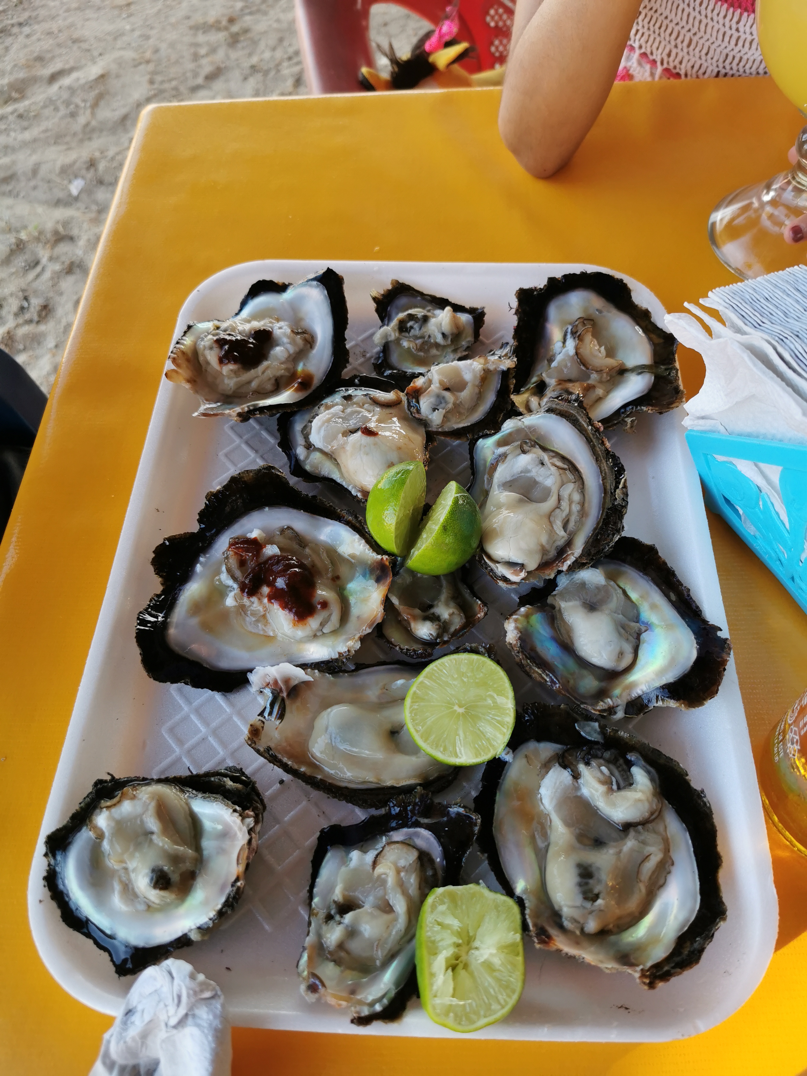 Cabaña-Restaurante "El delfín dorado* image 2