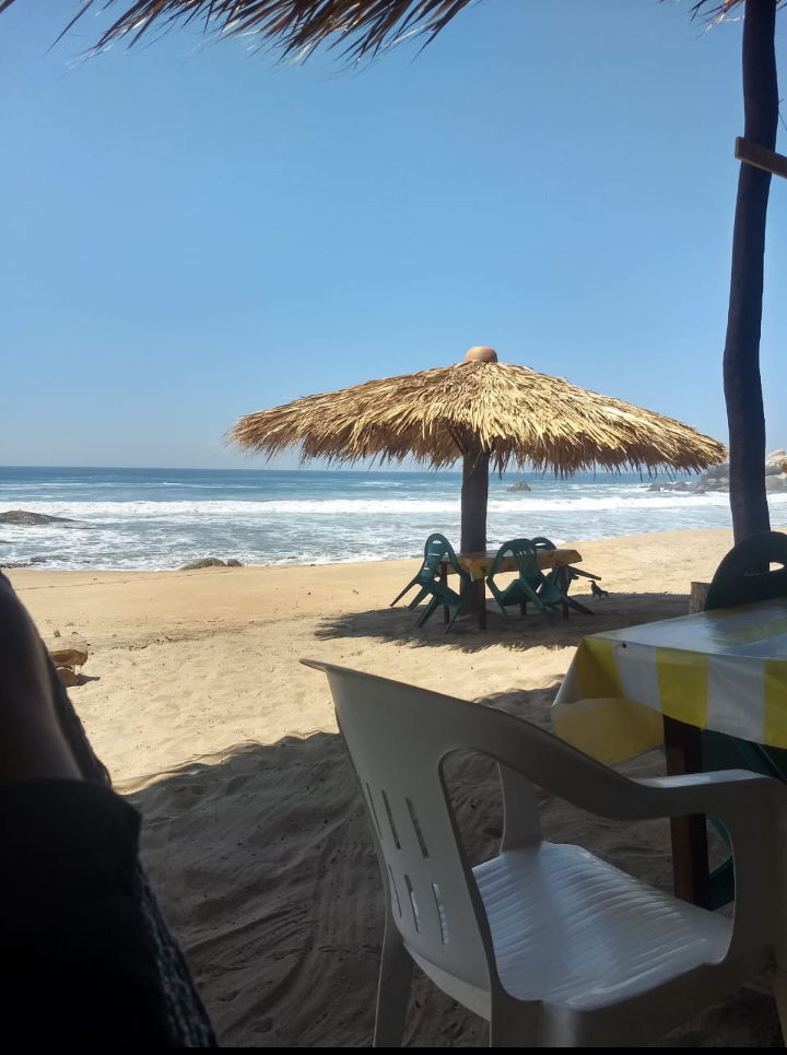 Cabaña-Restaurante "El delfín dorado* image 8